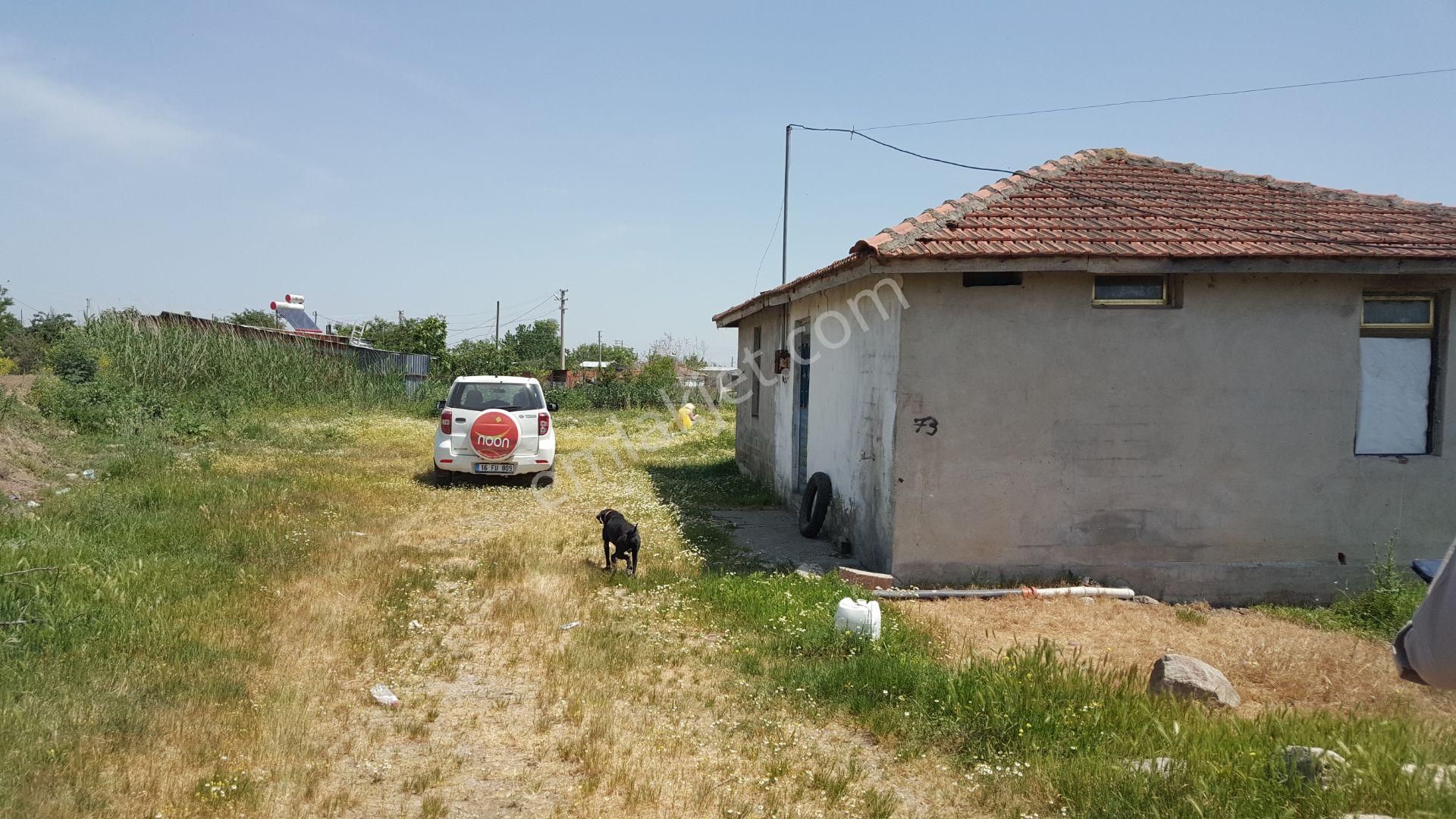 Bursa Karacabey Ovahamidiye De Köy İçi Satılık Arsa - Görsel 2