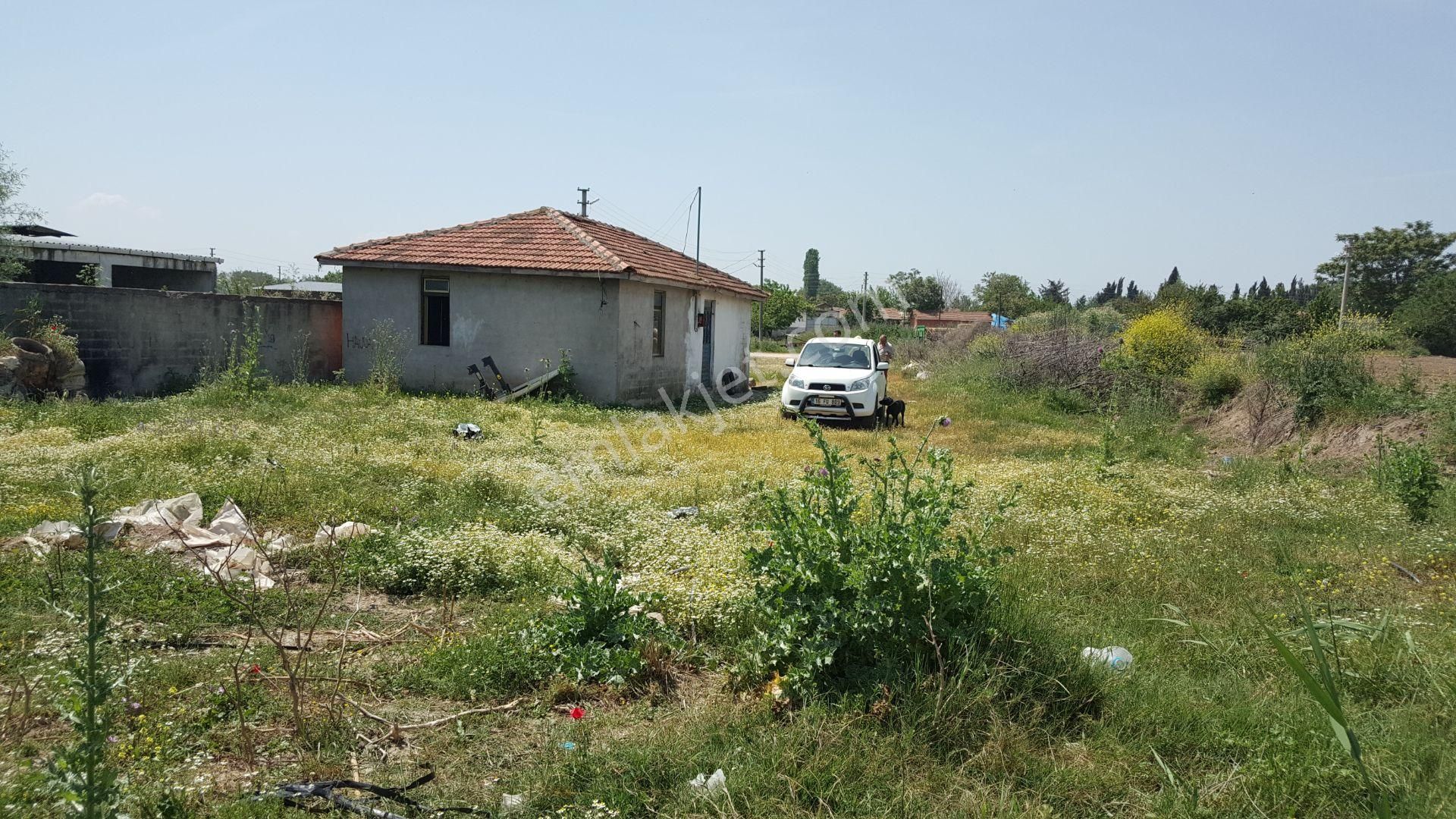 Bursa Karacabey Ovahamidiye De Köy İçi Satılık Arsa - Görsel 7