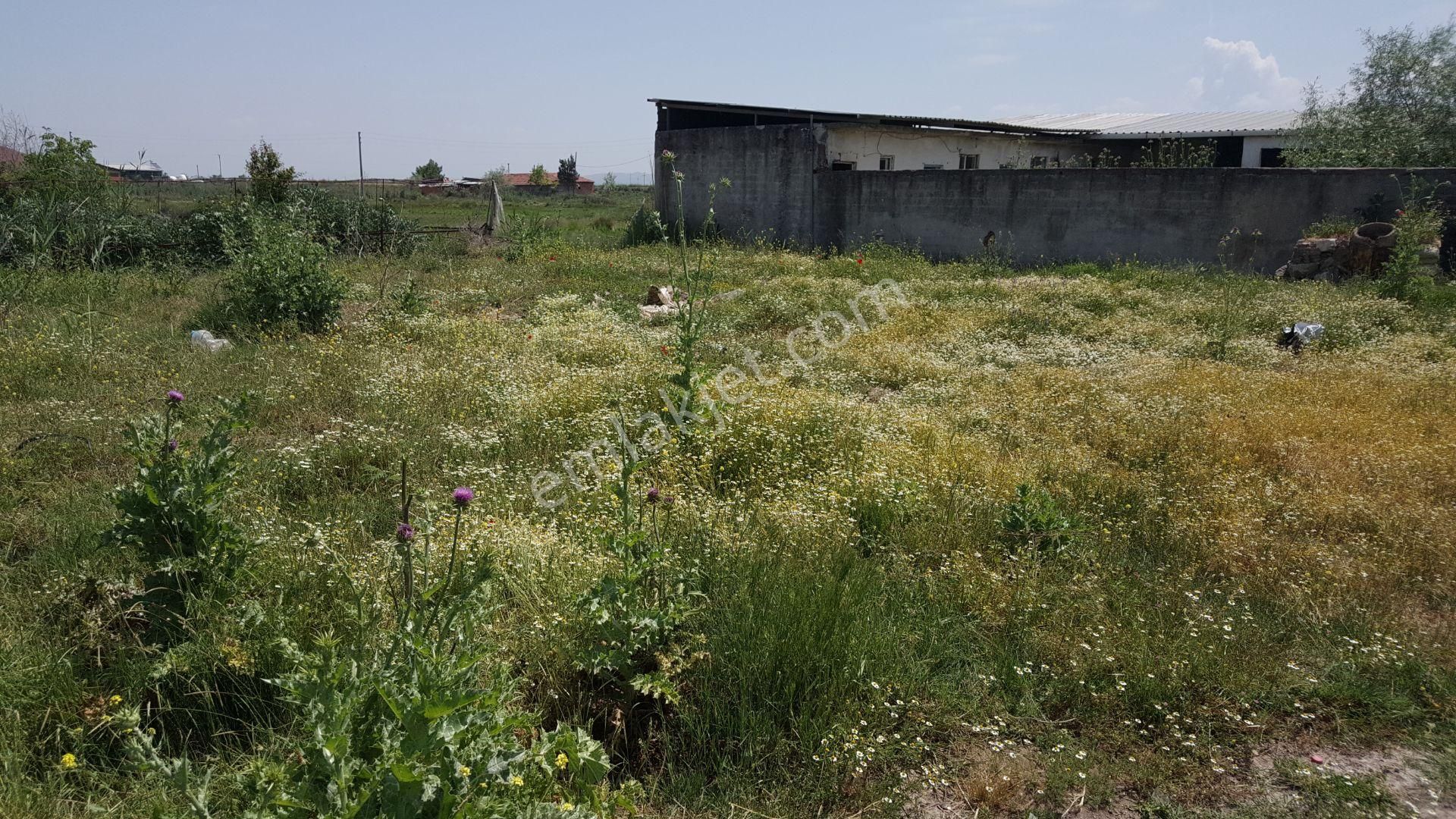 Bursa Karacabey Ovahamidiye De Köy İçi Satılık Arsa - Görsel 4