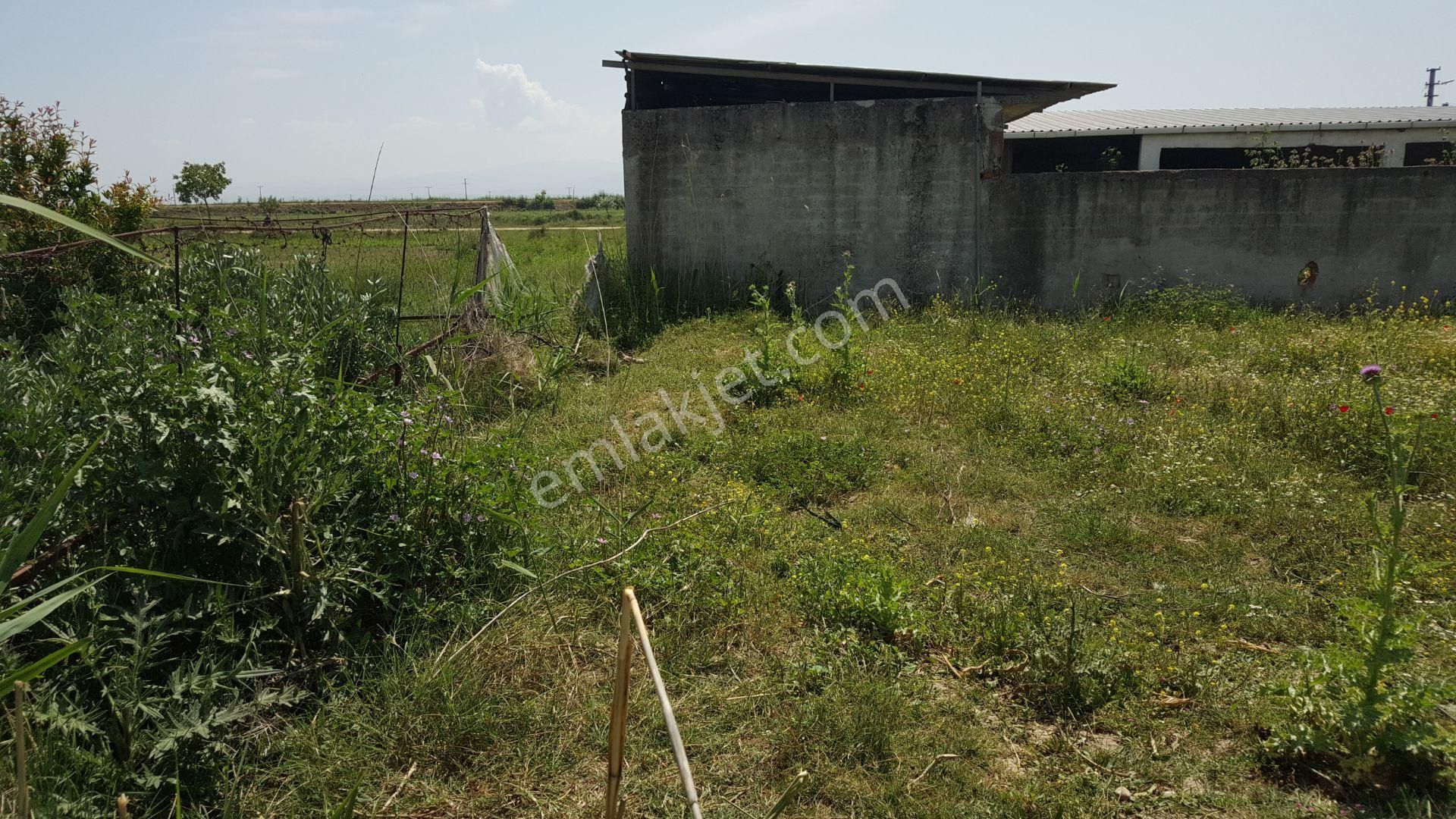 Bursa Karacabey Ovahamidiye De Köy İçi Satılık Arsa - Görsel 6