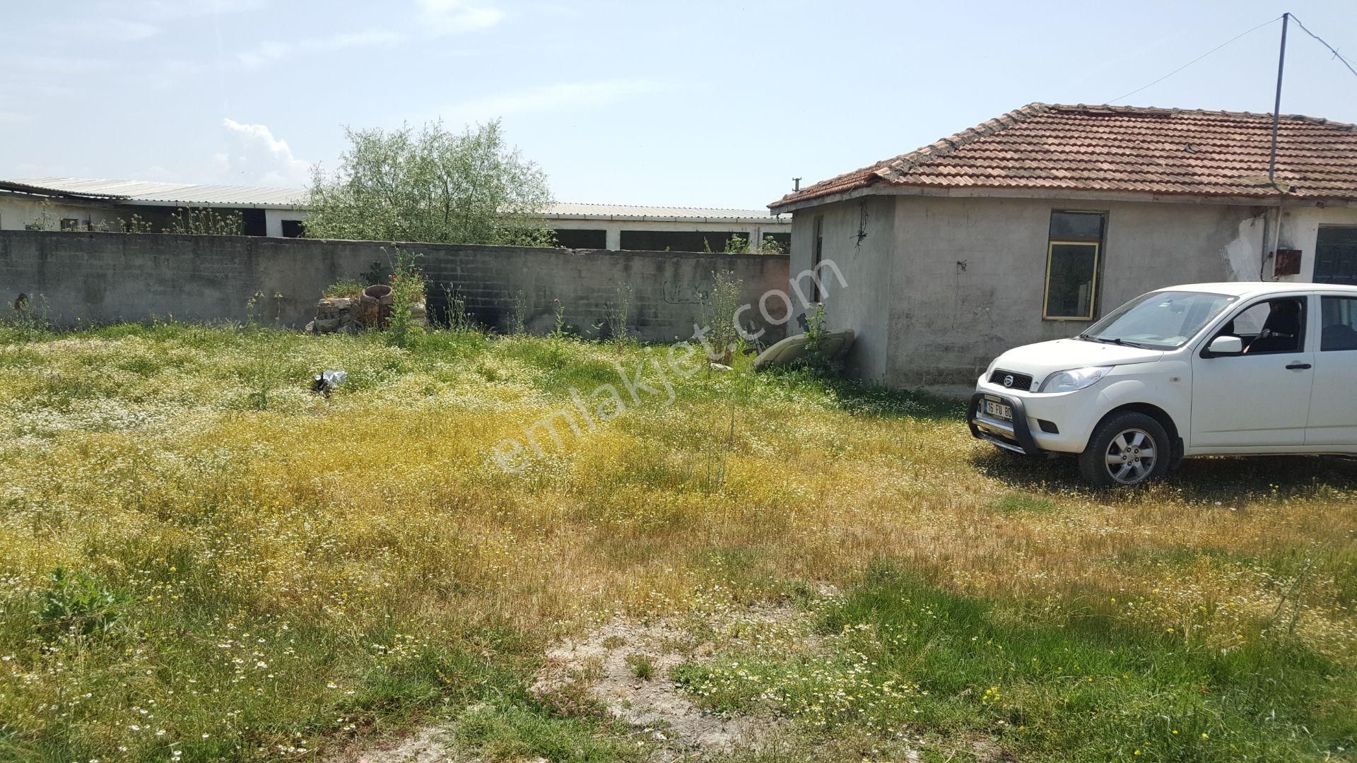 Bursa Karacabey Ovahamidiye De Köy İçi Satılık Arsa - Görsel 5