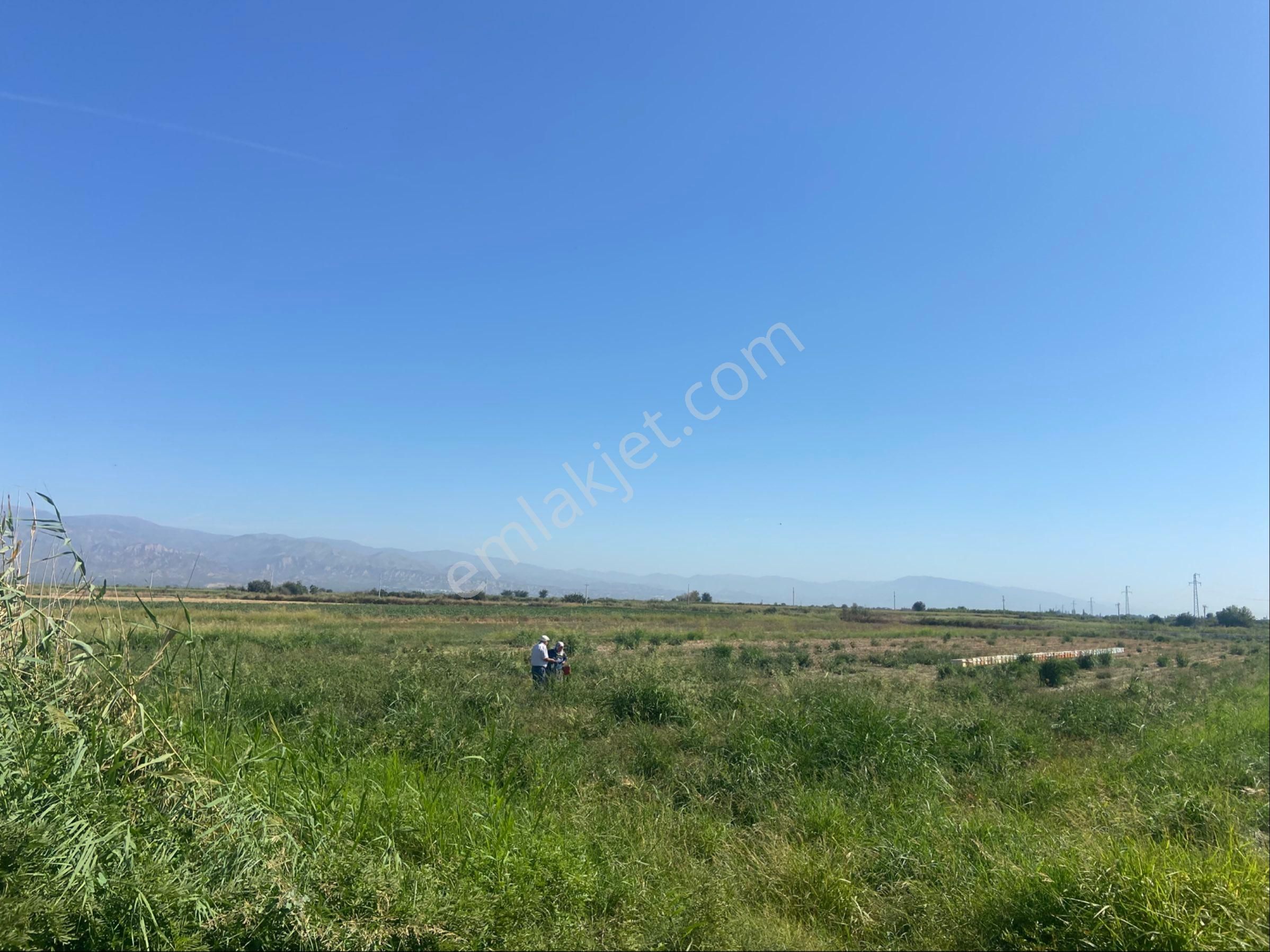 Aydın Yenipazar Alhan Da Satılık 5.545 M2 Tarla - Görsel 10