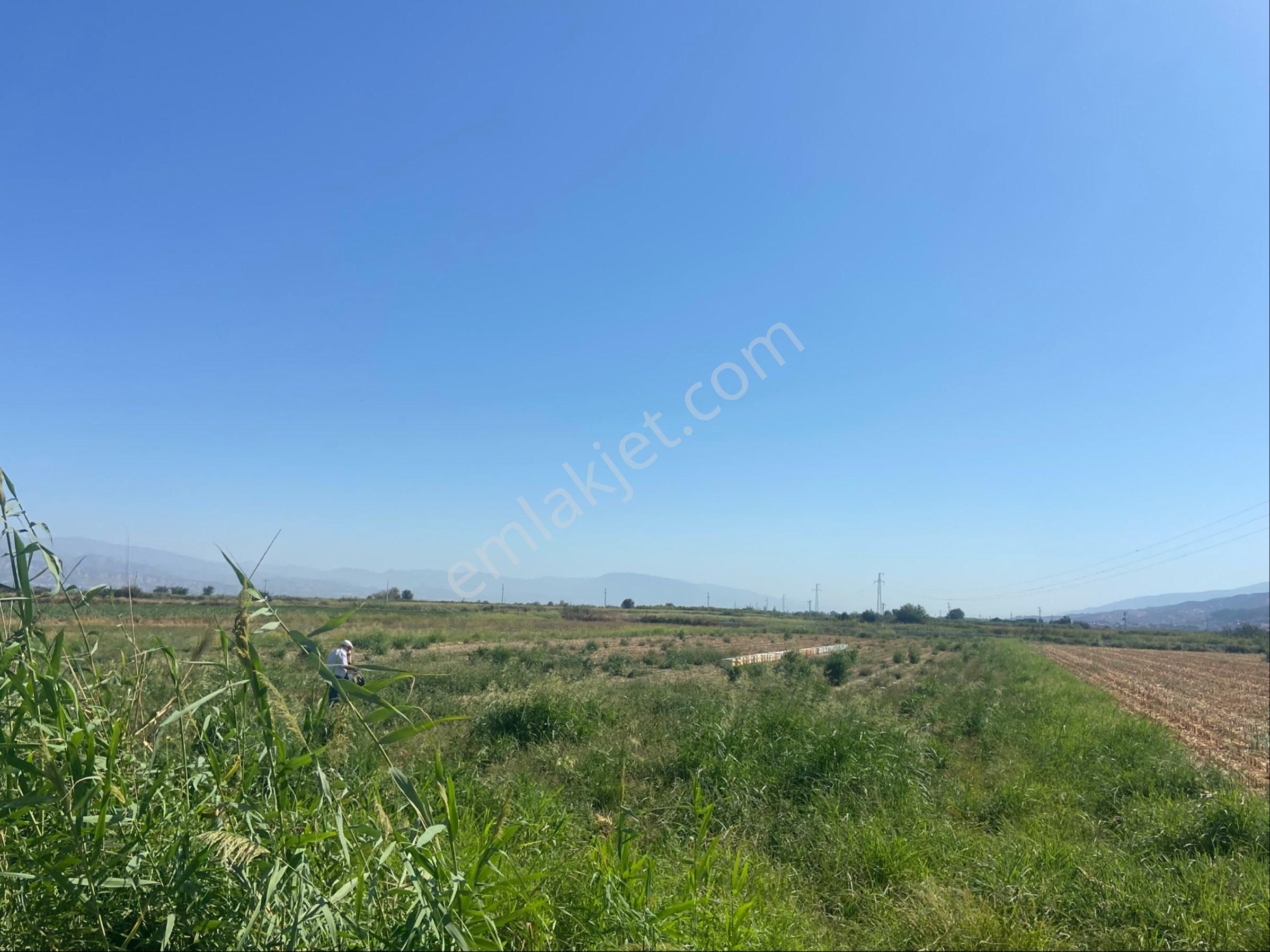 Aydın Yenipazar Alhan Da Satılık 5.545 M2 Tarla - Görsel 16