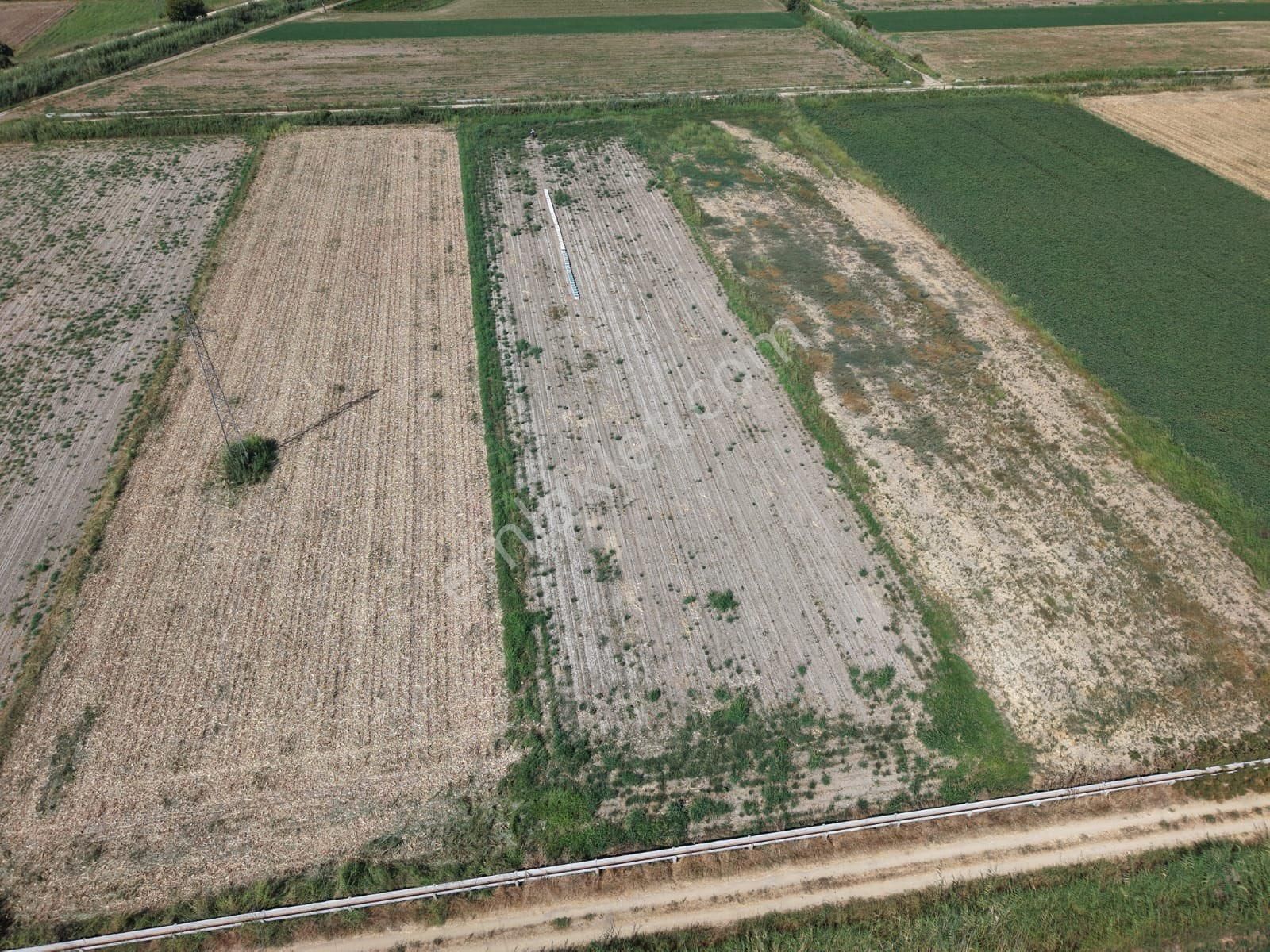 Aydın Yenipazar Alhan Da Satılık 5.545 M2 Tarla - Görsel 4