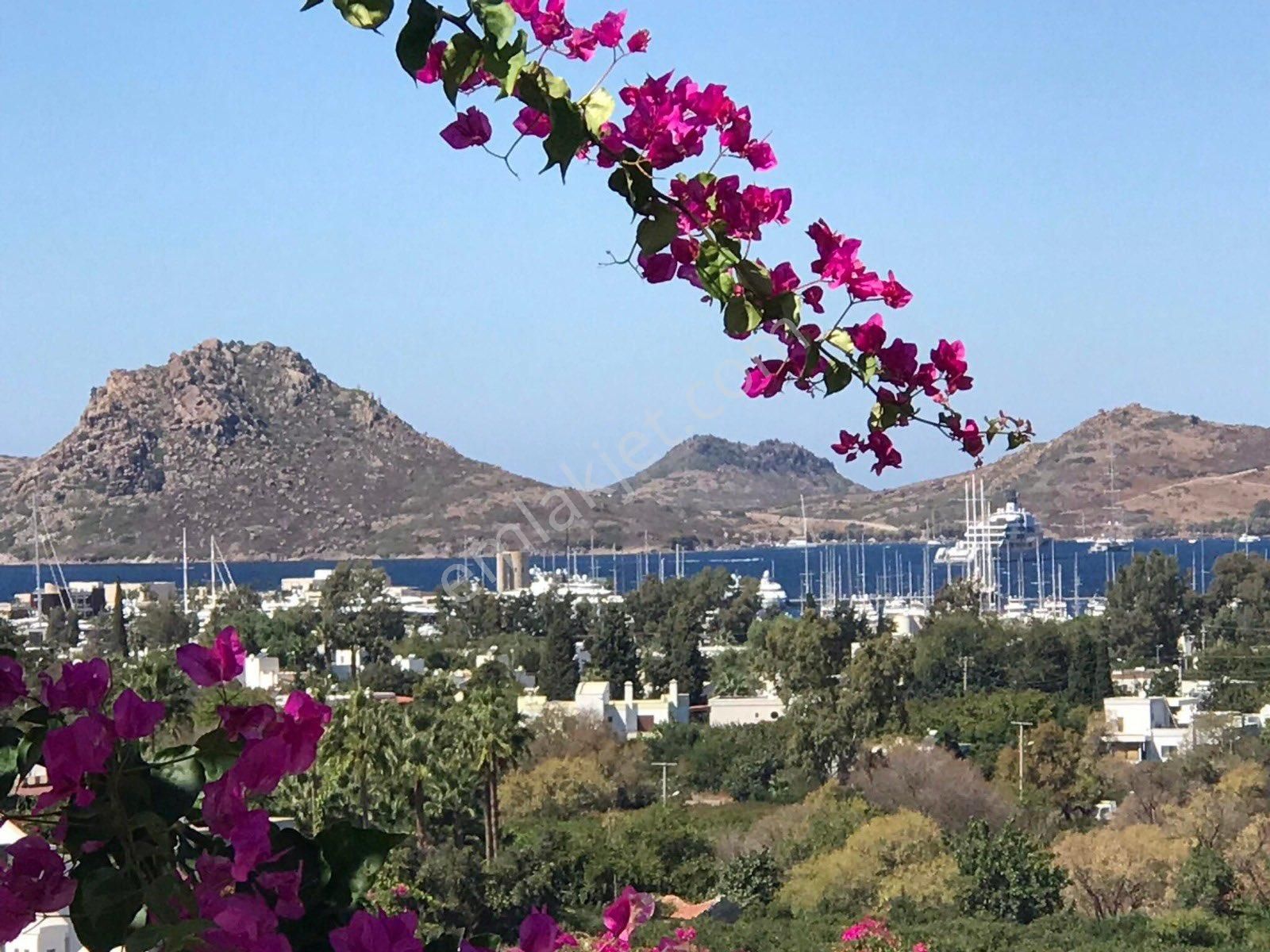 Yalıkavak Merkez Düzayak Yer Satılık Manzaralı Ev Havuzlu Site Fırsat Daire İndirimli Acil - Görsel 3