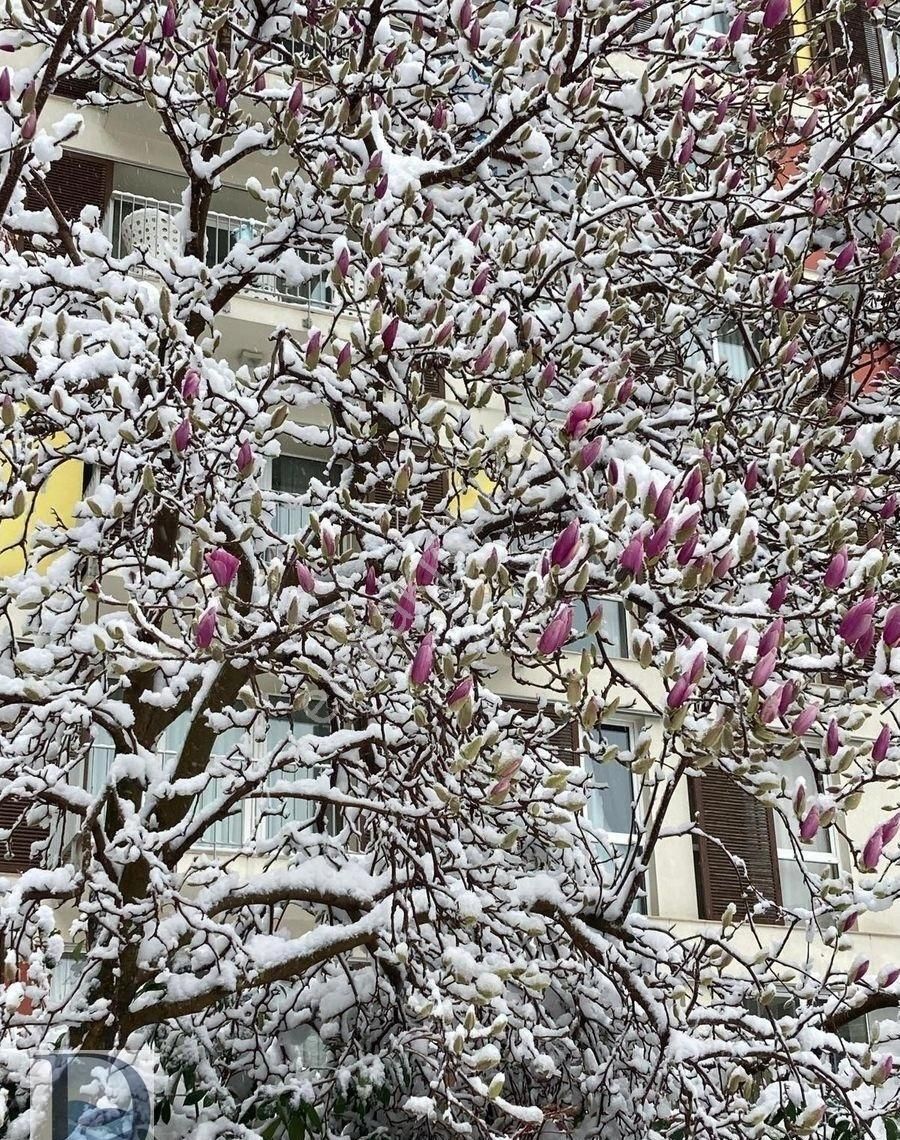 Tek Yetkili Evidea Sitesi Satılık 3+1a - Görsel 11