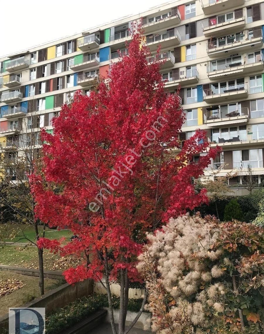 Tek Yetkili Evidea Sitesi Satılık 3+1a - Görsel 23