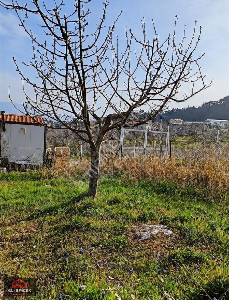 Kemalpaşa Ulucakta Evli Bahçe - Görsel 2