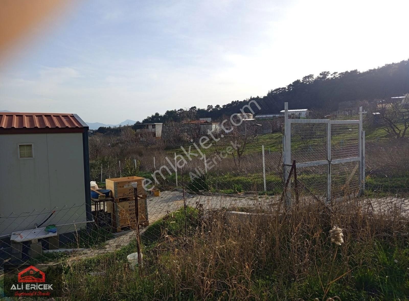 Kemalpaşa Ulucakta Evli Bahçe - Görsel 4