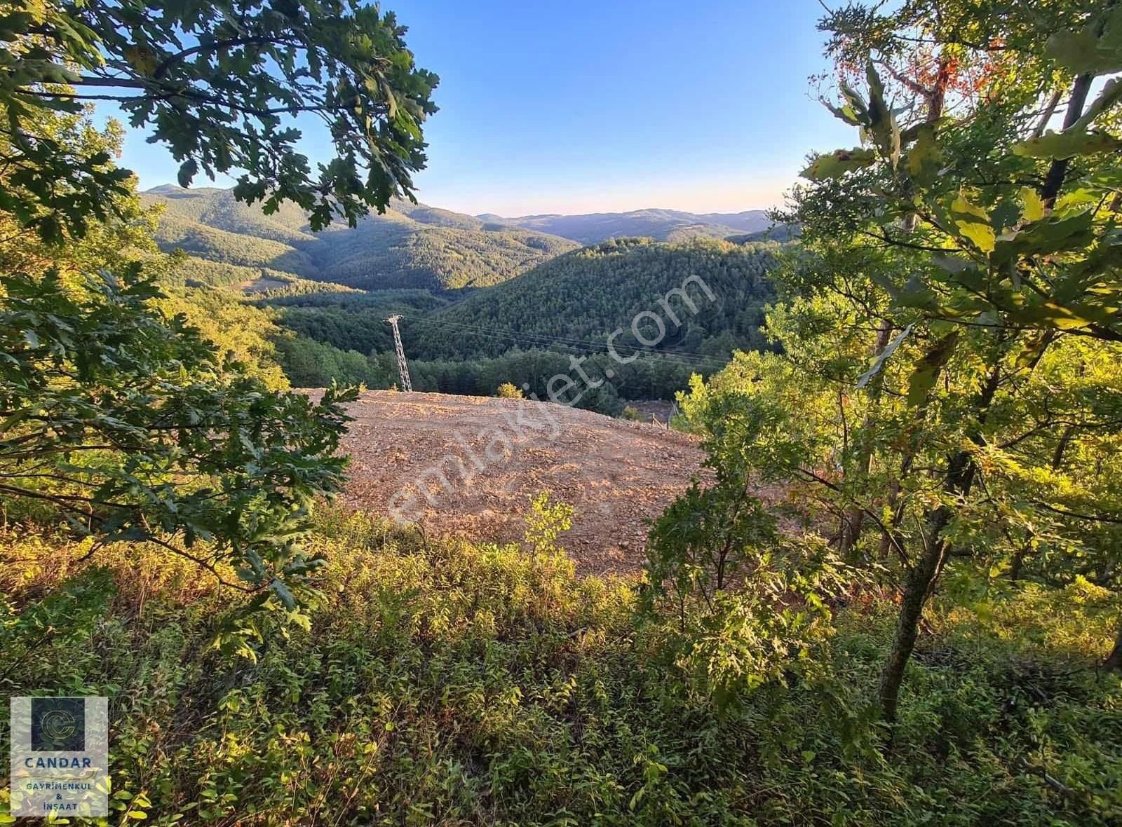 Bursa İznik Candarlı Mah. Satılık Asfalt Cepheli Tarla - Görsel 3