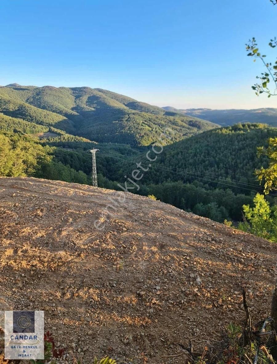 Bursa İznik Candarlı Mah. Satılık Asfalt Cepheli Tarla - Görsel 10