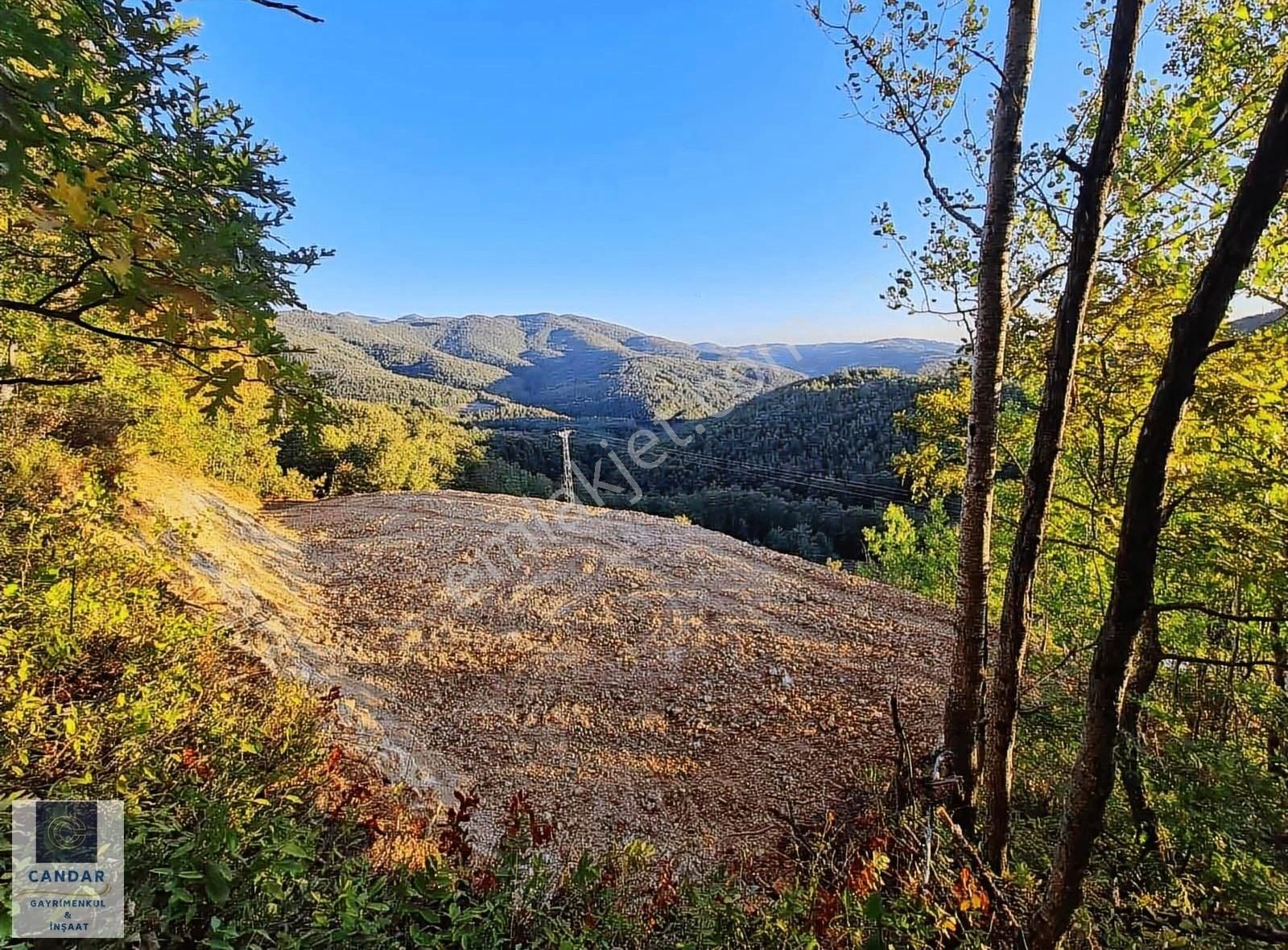 Bursa İznik Candarlı Mah. Satılık Asfalt Cepheli Tarla - Görsel 13