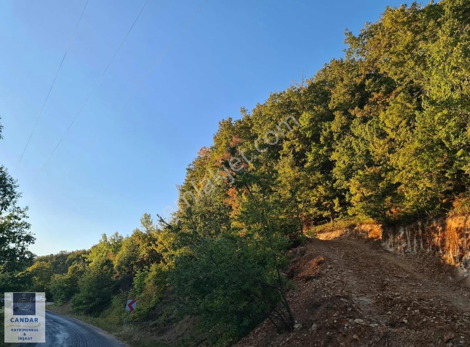 Bursa İznik Candarlı Mah. Satılık Asfalt Cepheli Tarla - Görsel 2