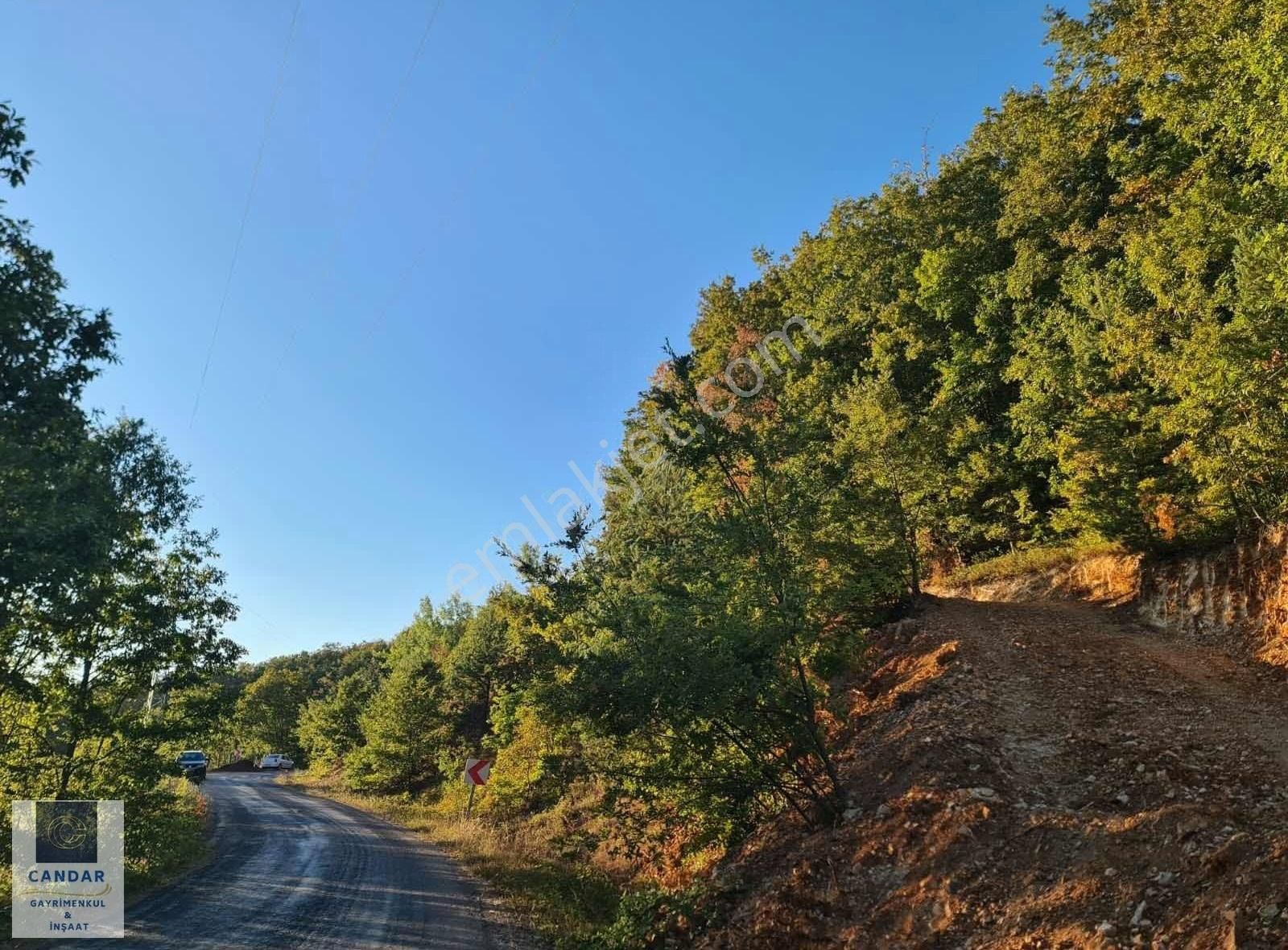 Bursa İznik Candarlı Mah. Satılık Asfalt Cepheli Tarla - Görsel 4