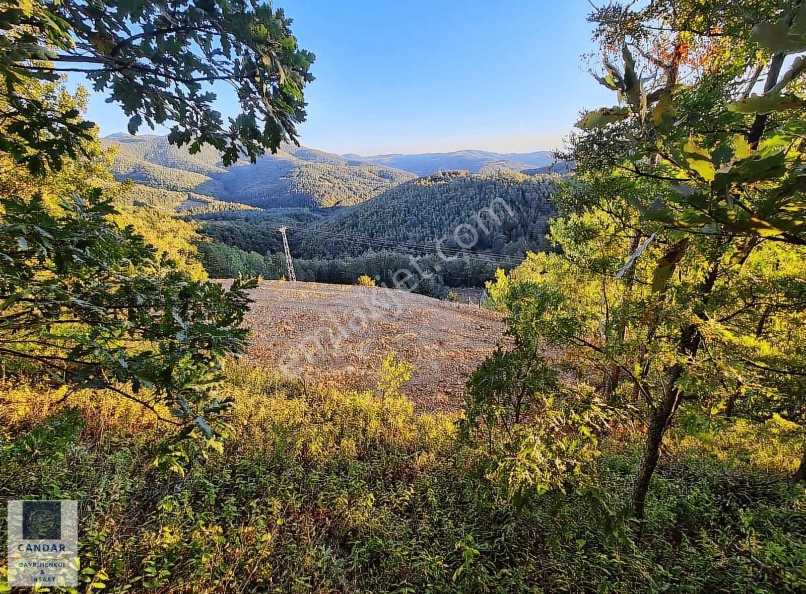 Bursa İznik Candarlı Mah. Satılık Asfalt Cepheli Tarla - Görsel 6