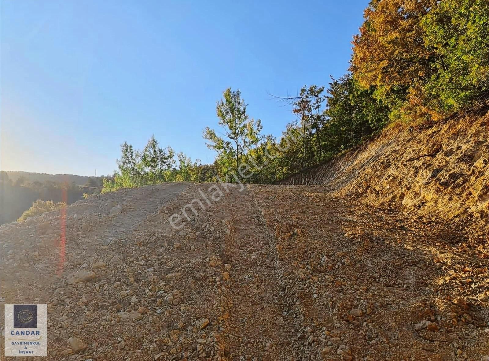 Bursa İznik Candarlı Mah. Satılık Asfalt Cepheli Tarla - Görsel 9