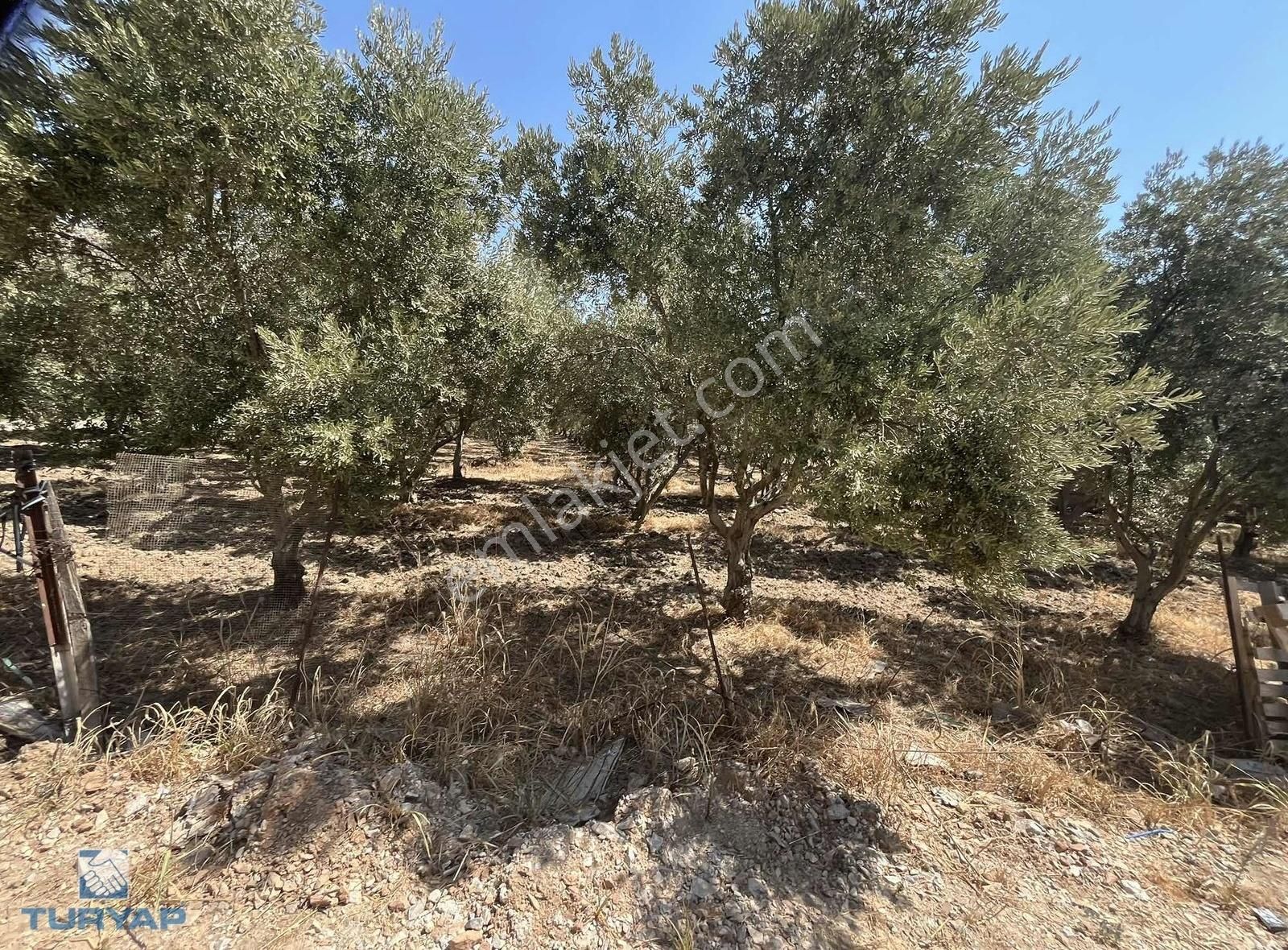 Torbalı Eğerci Mahallesinde 443m2 2 Kat İmarlı Arsa - Görsel 16