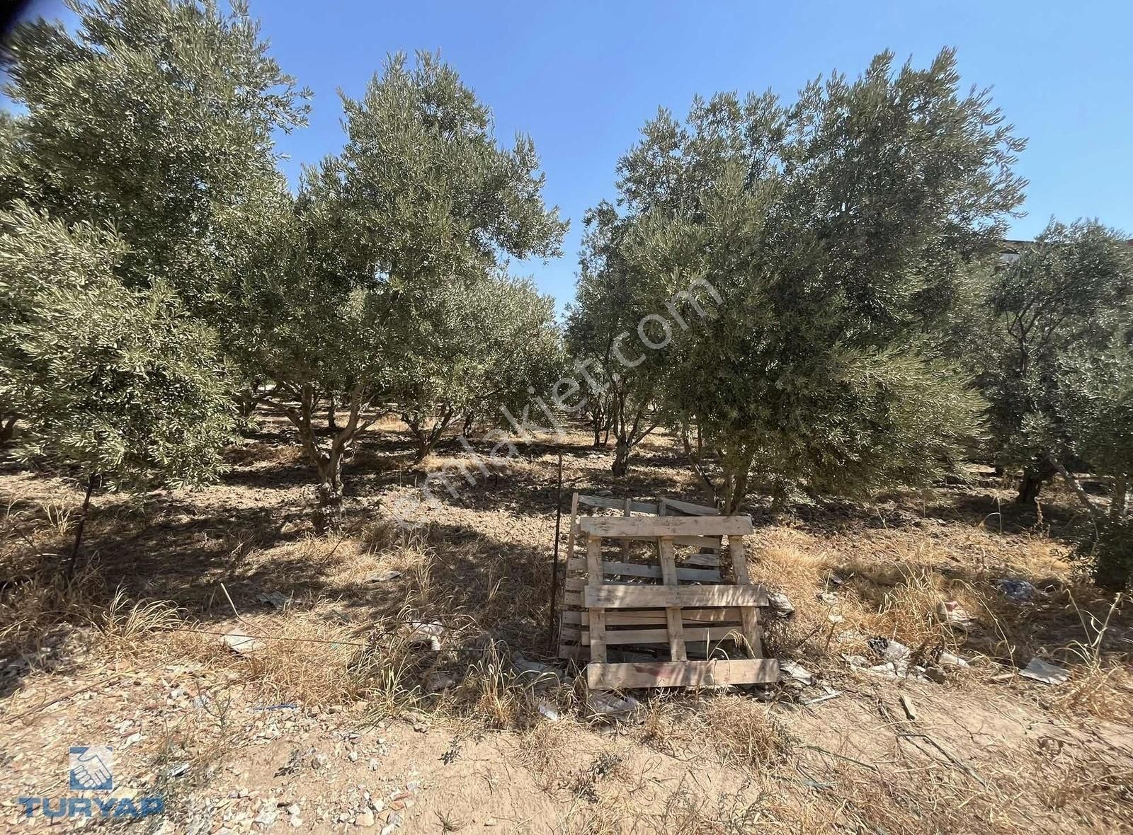 Torbalı Eğerci Mahallesinde 443m2 2 Kat İmarlı Arsa - Görsel 20