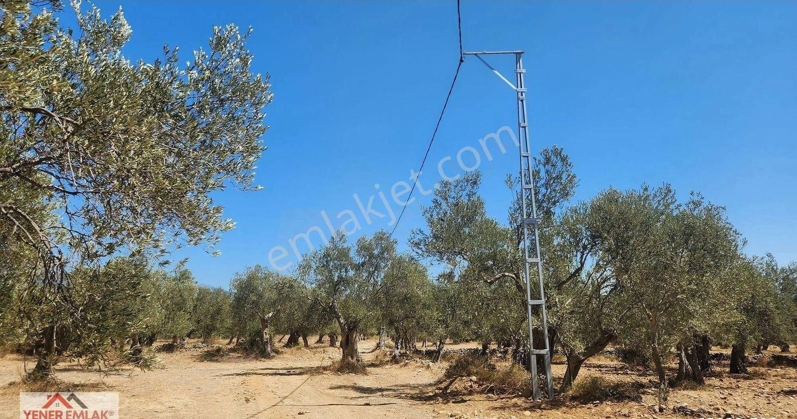 Yener Emlak'tan Zeytinli Kocakır'da ▒ Etrafı Çevrili ▒ 4.398m² - Görsel 5