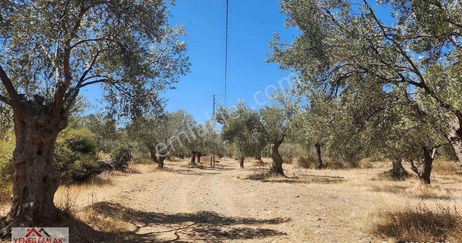 Yener Emlak'tan Zeytinli Kocakır'da ▒ Etrafı Çevrili ▒ 4.398m² - Görsel 23