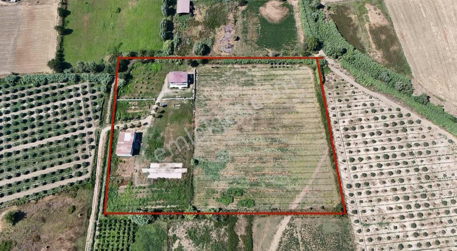 Sultanhisar Atça'da Satılık 26.480 M2 Çiftlik Ve Tarlası - Görsel 12