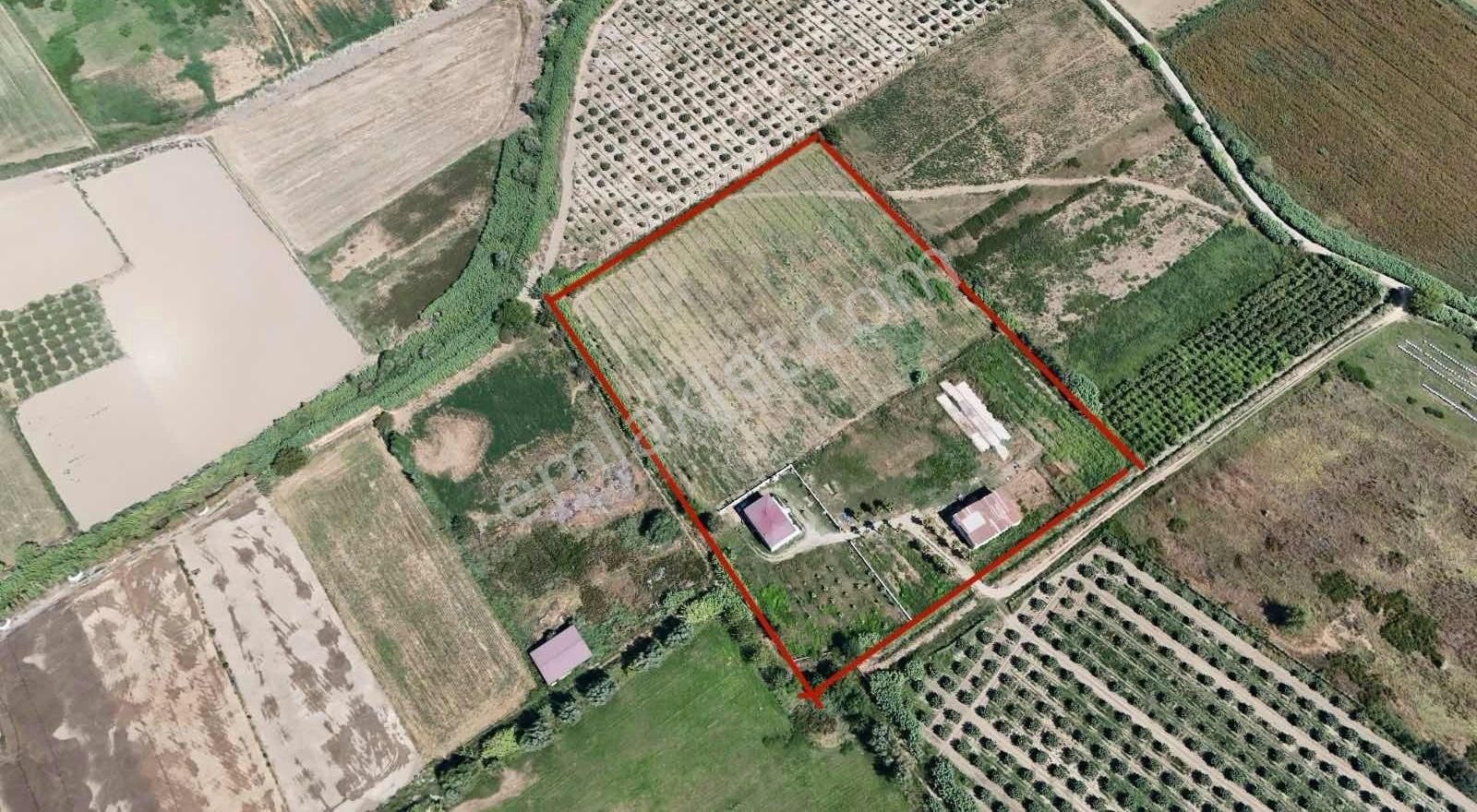 Sultanhisar Atça'da Satılık 26.480 M2 Çiftlik Ve Tarlası