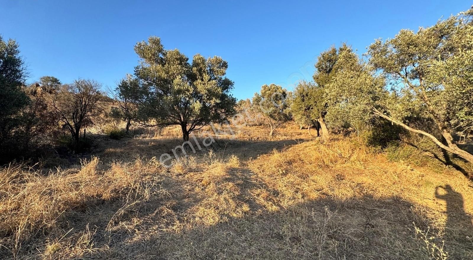 Bodrum İslamhanlerin'de Satılık 5.133 M2 Yatırımlık Tarla - Görsel 12
