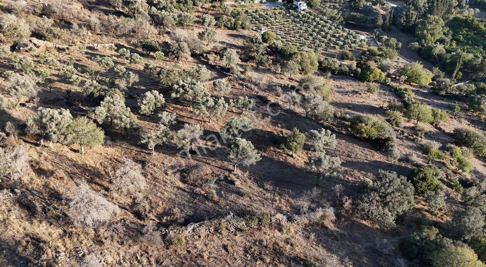 Bodrum İslamhanlerin'de Satılık 5.133 M2 Yatırımlık Tarla - Görsel 3