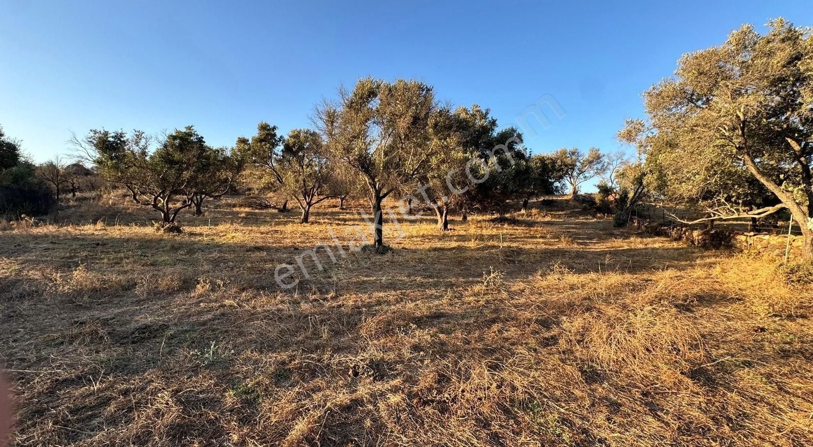 Bodrum İslamhanlerin'de Satılık 5.133 M2 Yatırımlık Tarla - Görsel 2