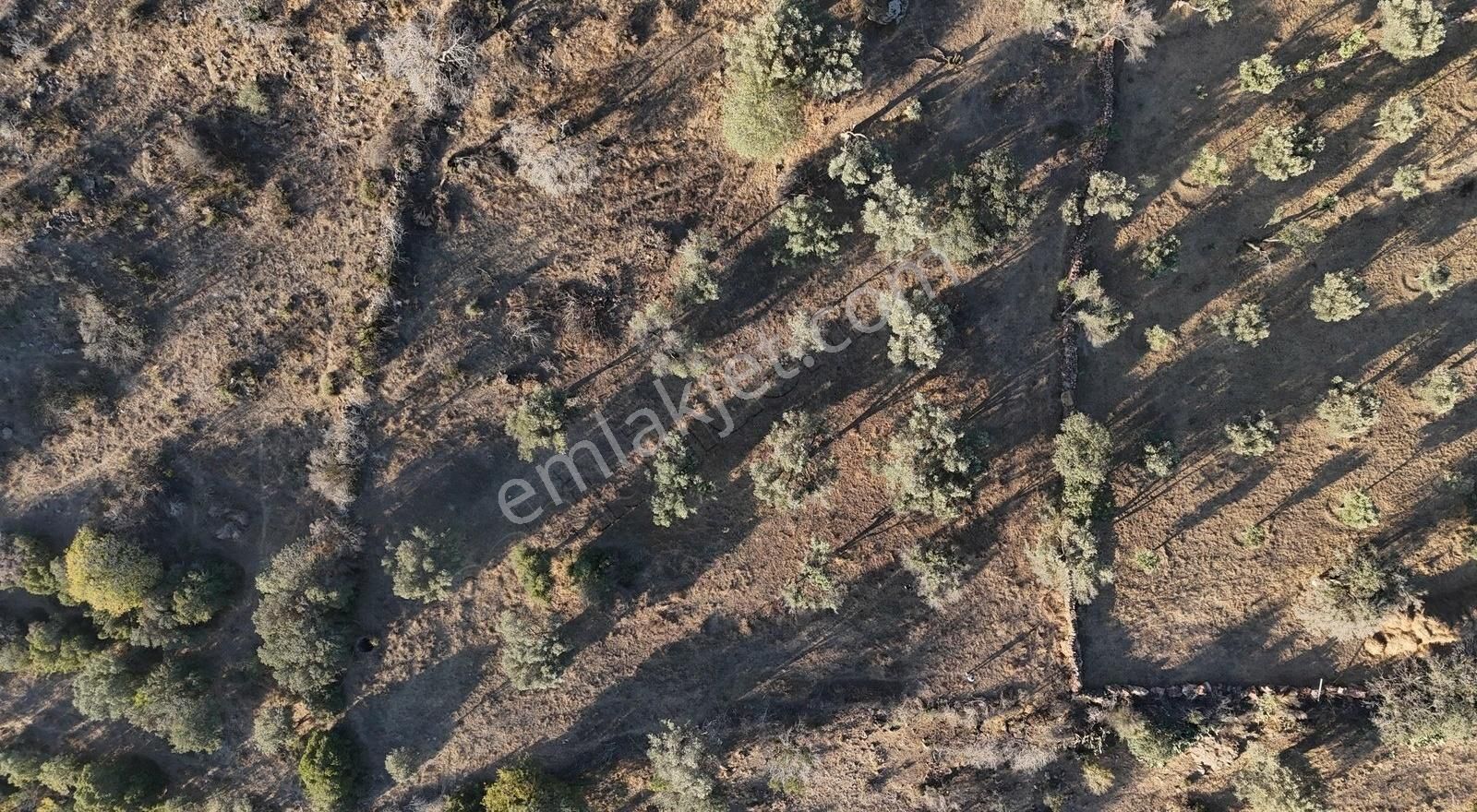 Bodrum İslamhanlerin'de Satılık 5.133 M2 Yatırımlık Tarla - Görsel 6