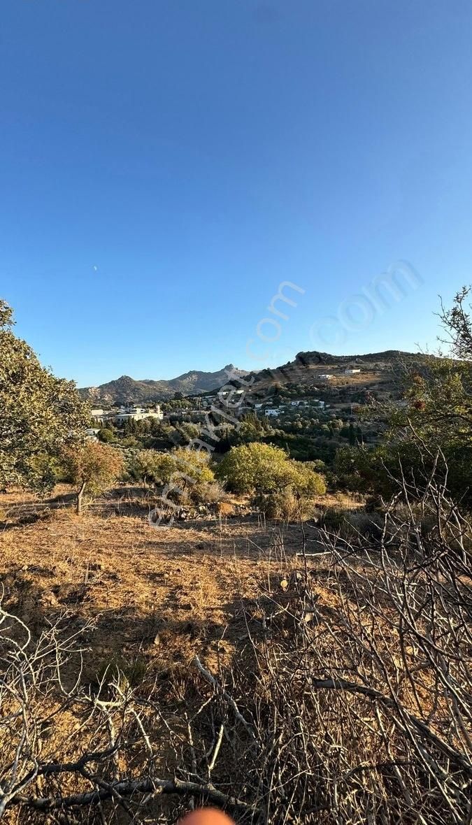 Bodrum İslamhanlerin'de Satılık 5.133 M2 Yatırımlık Tarla - Görsel 13