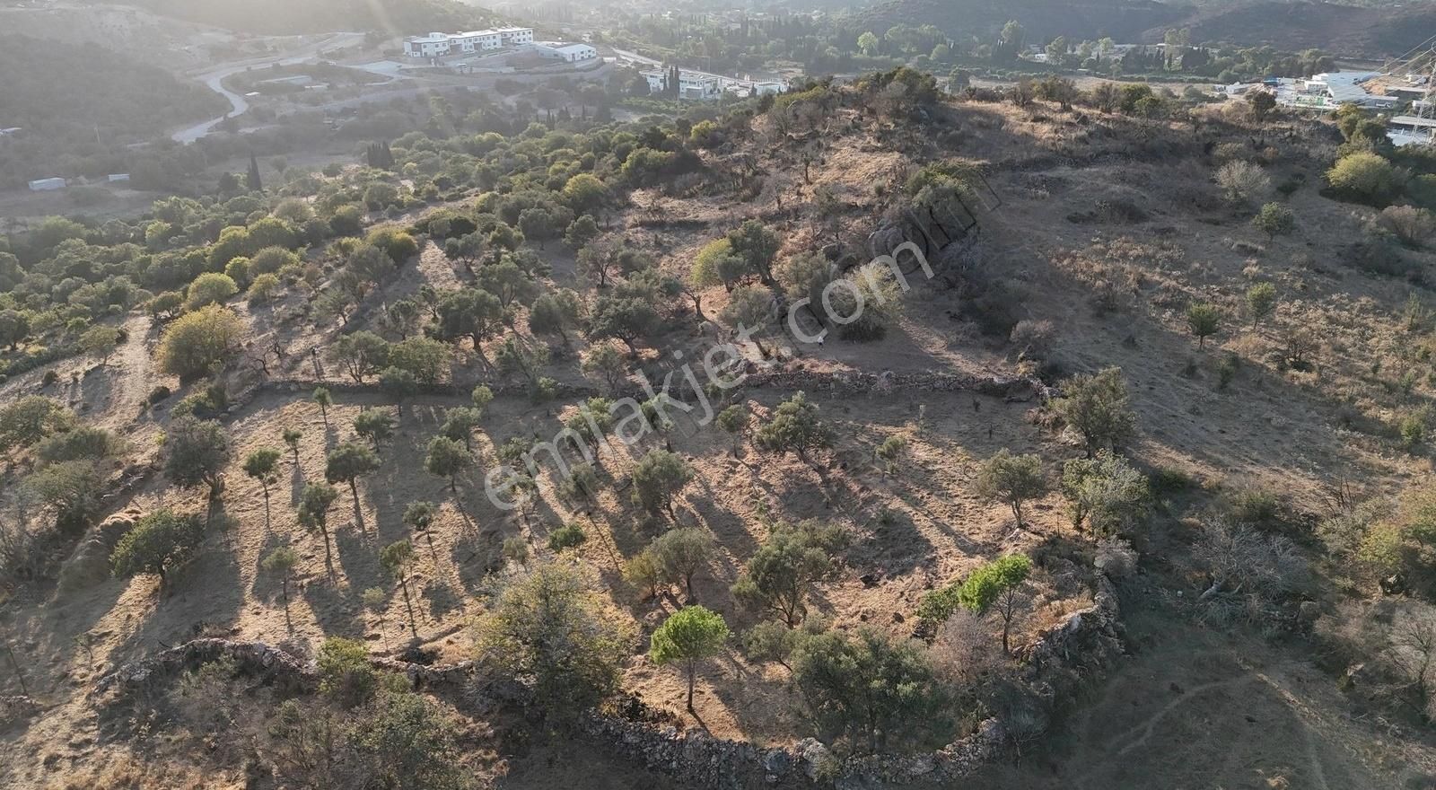 Bodrum İslamhanlerin'de Satılık 5.133 M2 Yatırımlık Tarla - Görsel 5