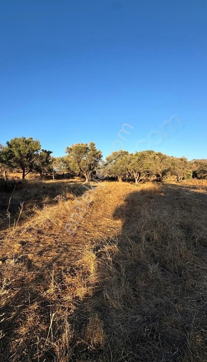 Bodrum İslamhanlerin'de Satılık 5.133 M2 Yatırımlık Tarla - Görsel 15
