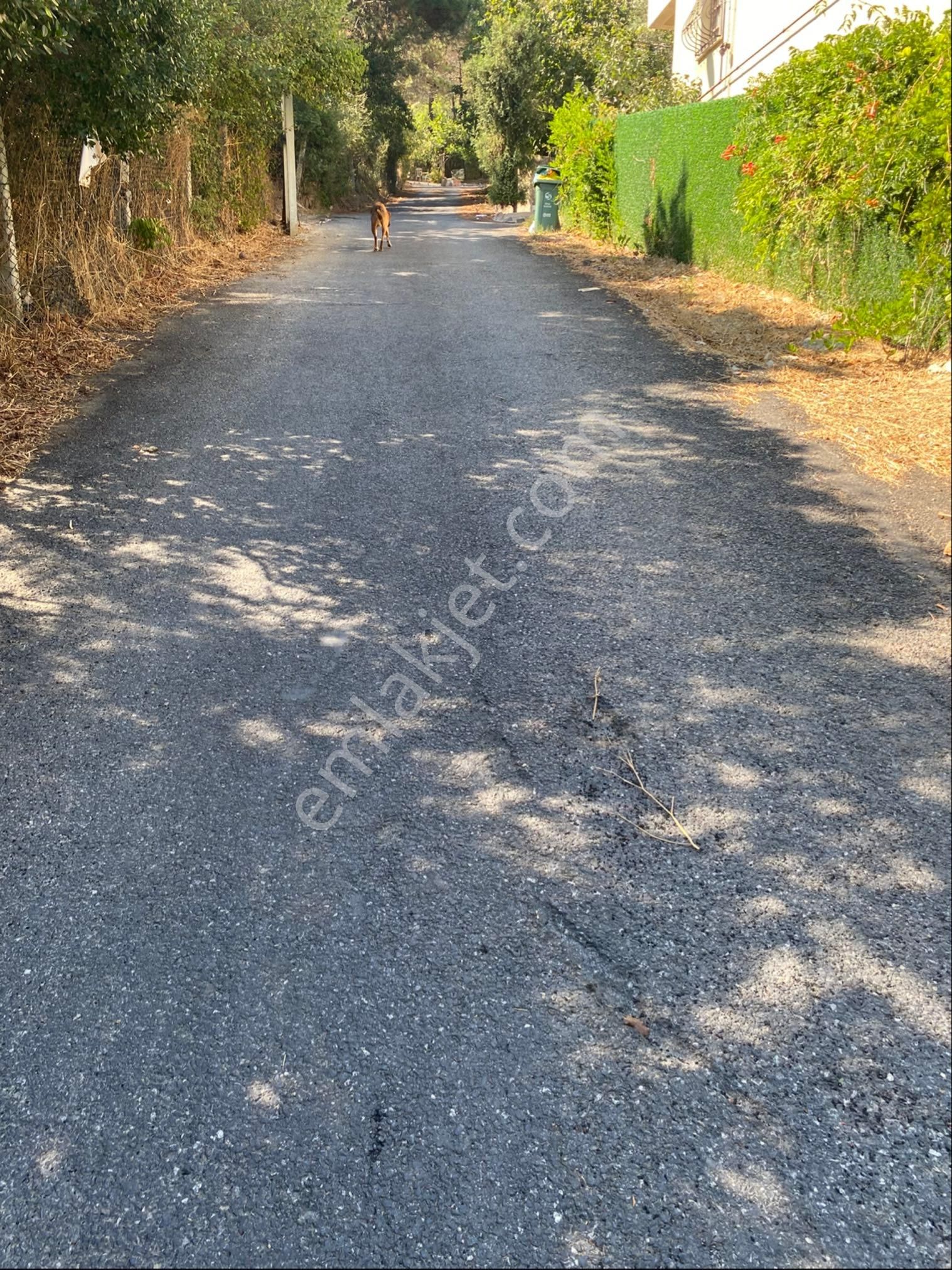 Ekin’den Beykoz Fatih Mah.satılık Müstakil Ev