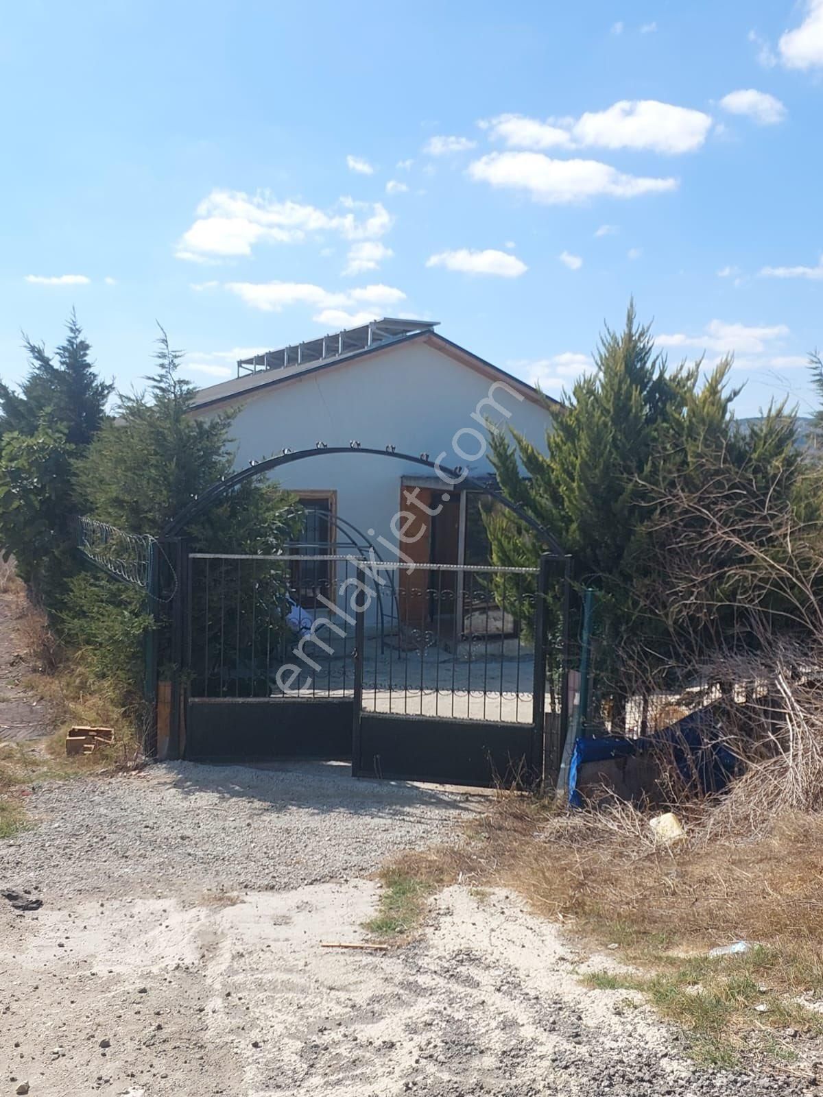 Çatalca İzzettinde 1.054 M2 Arsalı 6 Yıllık Meyve Ağaçları Olan Müstakil Ev - Görsel 9