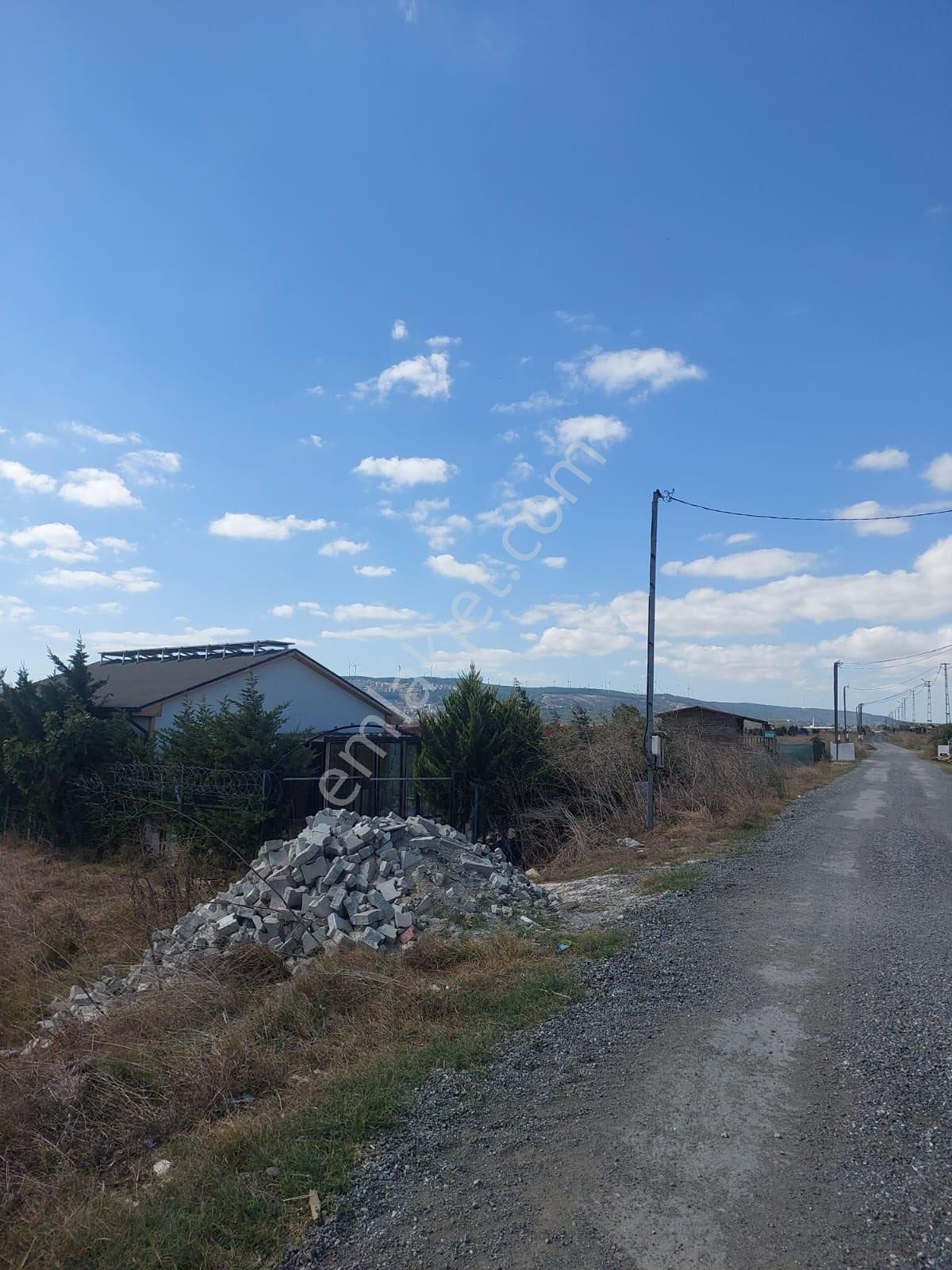 Çatalca İzzettinde 1.054 M2 Arsalı 6 Yıllık Meyve Ağaçları Olan Müstakil Ev - Görsel 23