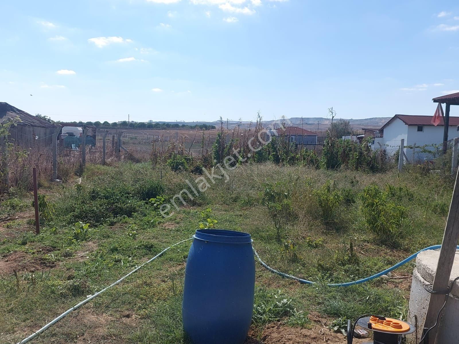 Çatalca İzzettinde 1.054 M2 Arsalı 6 Yıllık Meyve Ağaçları Olan Müstakil Ev - Görsel 30