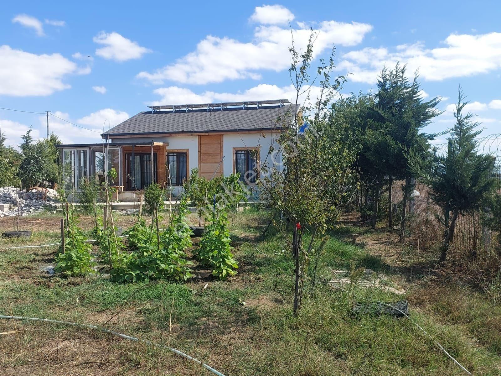 Çatalca İzzettinde 1.054 M2 Arsalı 6 Yıllık Meyve Ağaçları Olan Müstakil Ev - Görsel 3