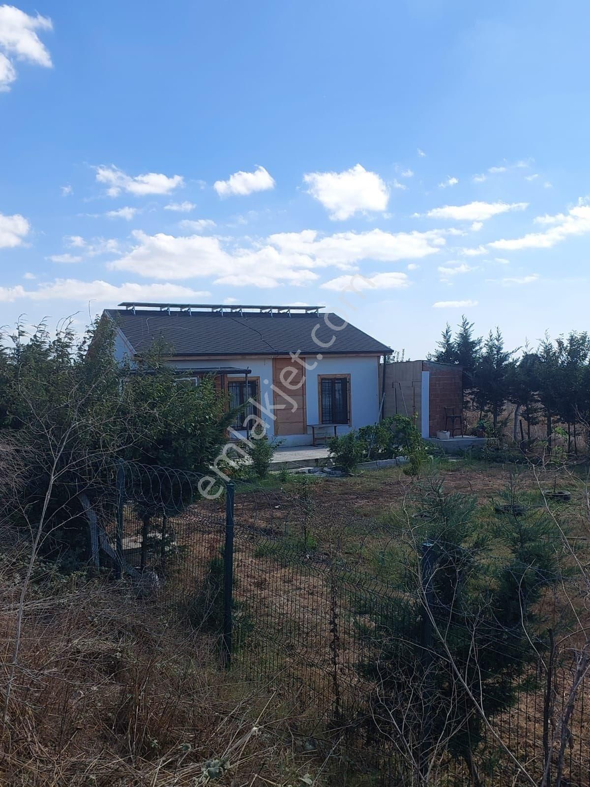 Çatalca İzzettinde 1.054 M2 Arsalı 6 Yıllık Meyve Ağaçları Olan Müstakil Ev - Görsel 5