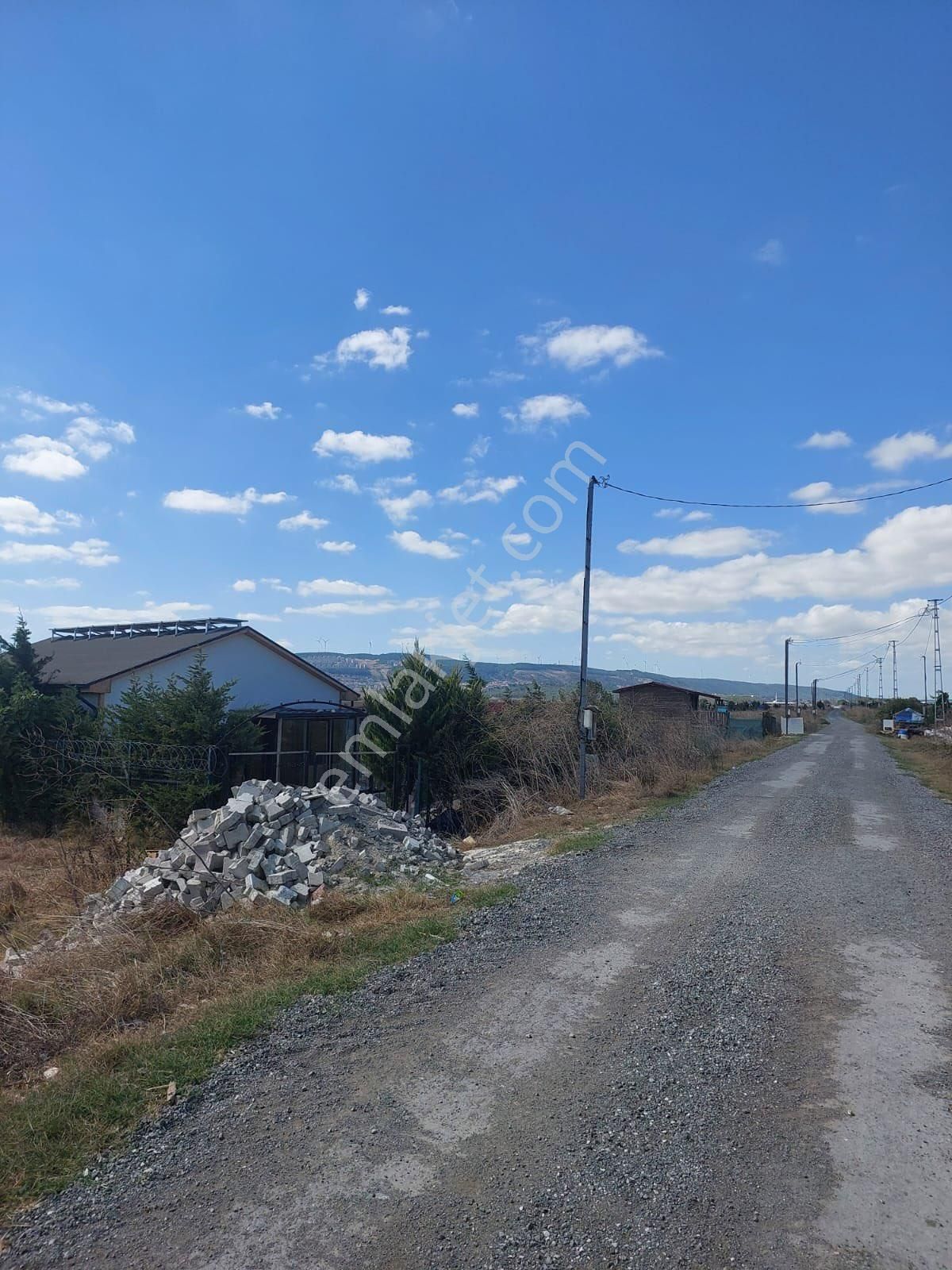 Çatalca İzzettinde 1.054 M2 Arsalı 6 Yıllık Meyve Ağaçları Olan Müstakil Ev - Görsel 24