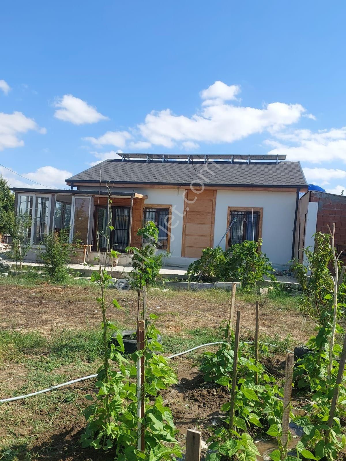 Çatalca İzzettinde 1.054 M2 Arsalı 6 Yıllık Meyve Ağaçları Olan Müstakil Ev