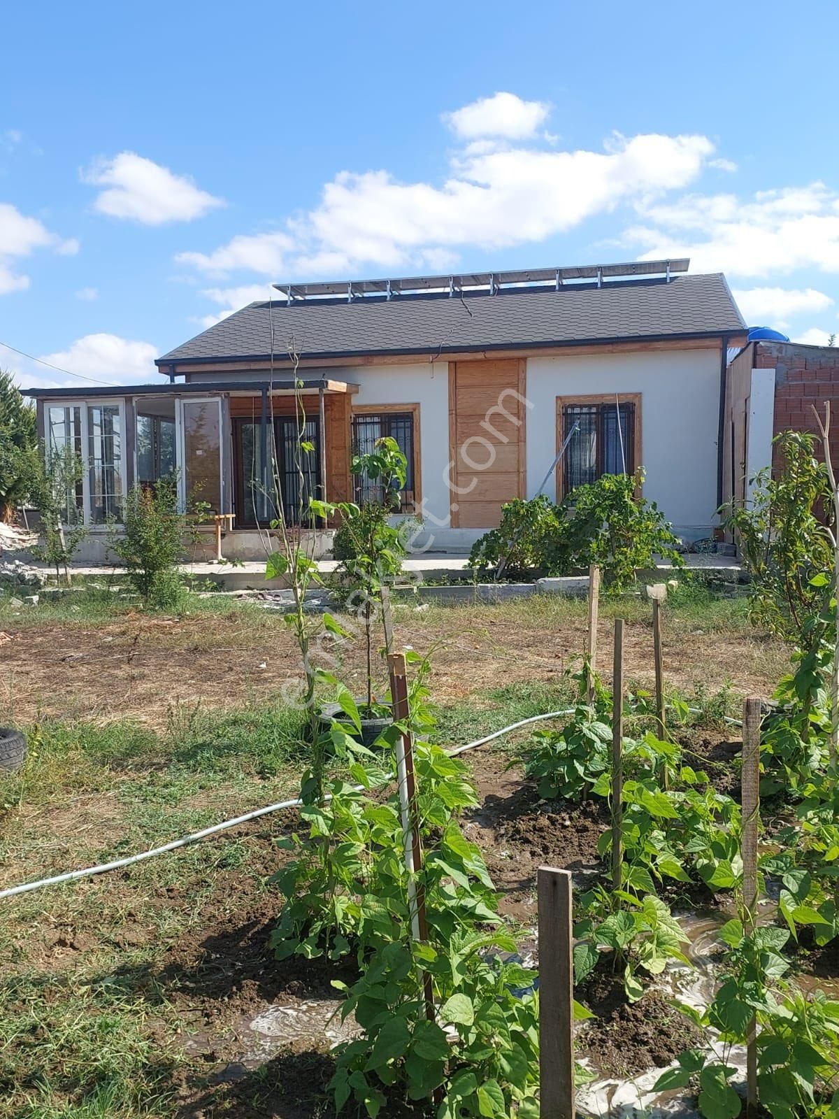 Çatalca İzzettinde 1.054 M2 Arsalı 6 Yıllık Meyve Ağaçları Olan Müstakil Ev - Görsel 6