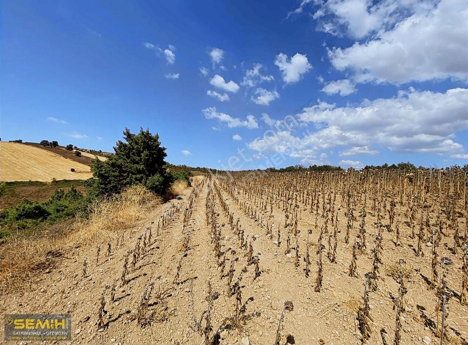Semih'den Afşarda Şehir Manzaralı Hakim Noktada Hesaplı Arazii - Görsel 6