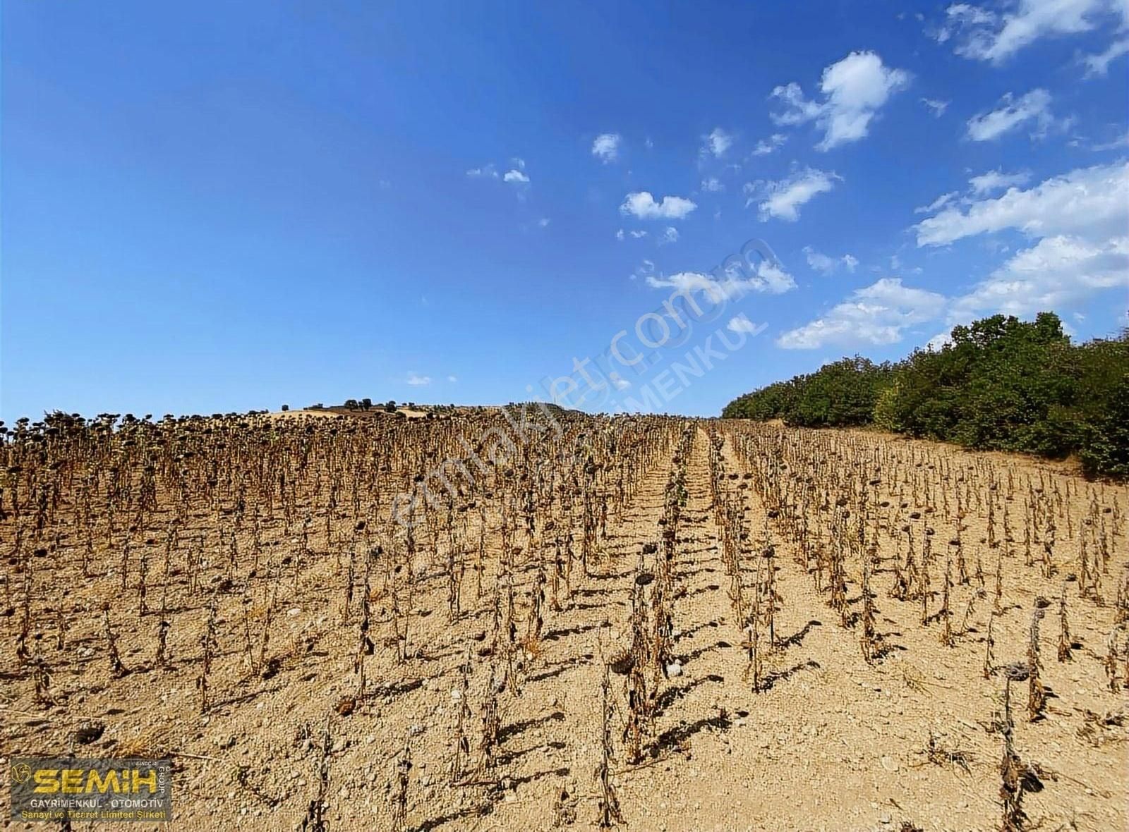 Semih'den Afşarda Şehir Manzaralı Hakim Noktada Hesaplı Arazii - Görsel 3