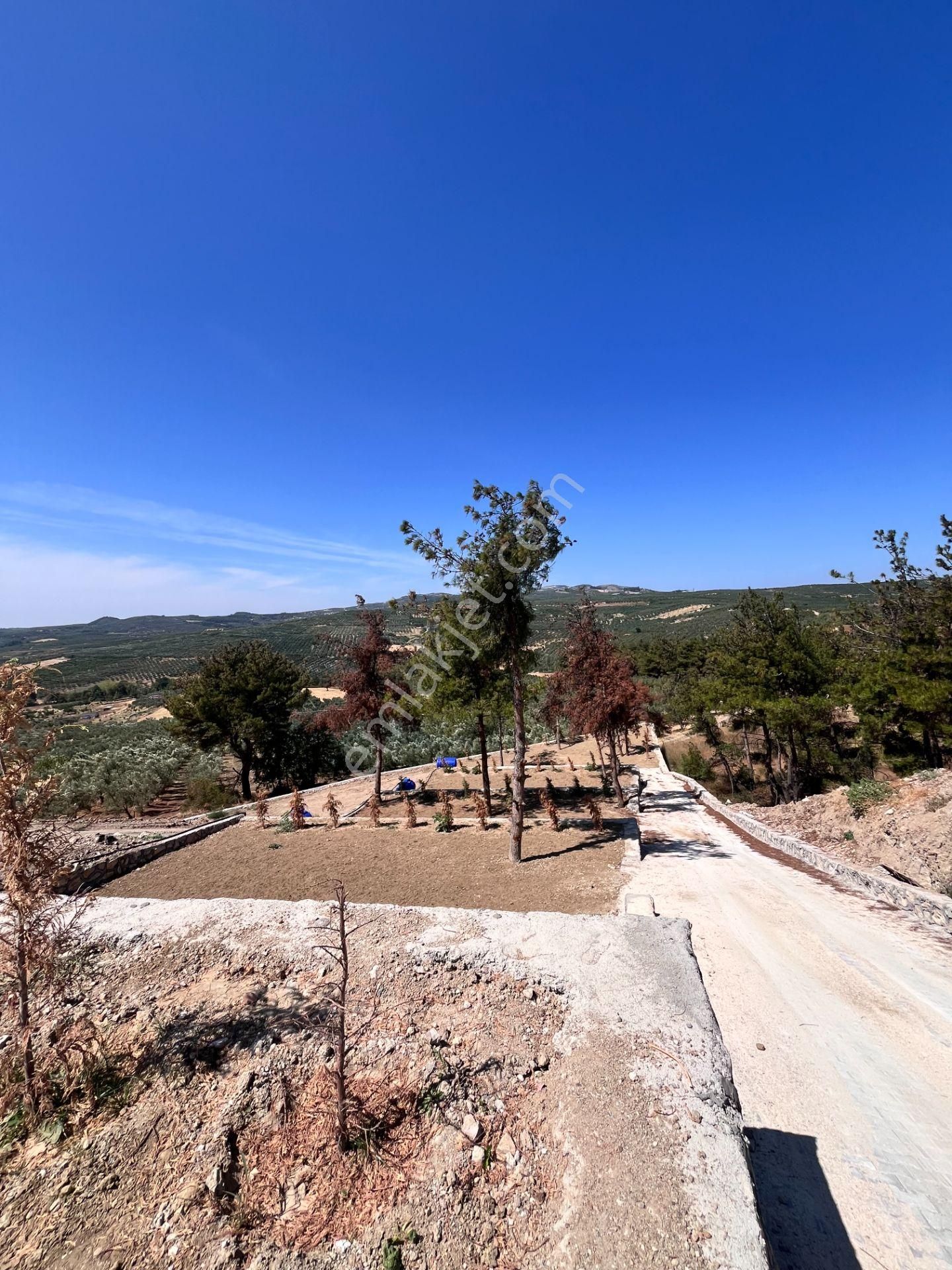 Mudanya Ülküköy Satılık Hobi Bahçesi İçin Hazır Hisse - Görsel 16