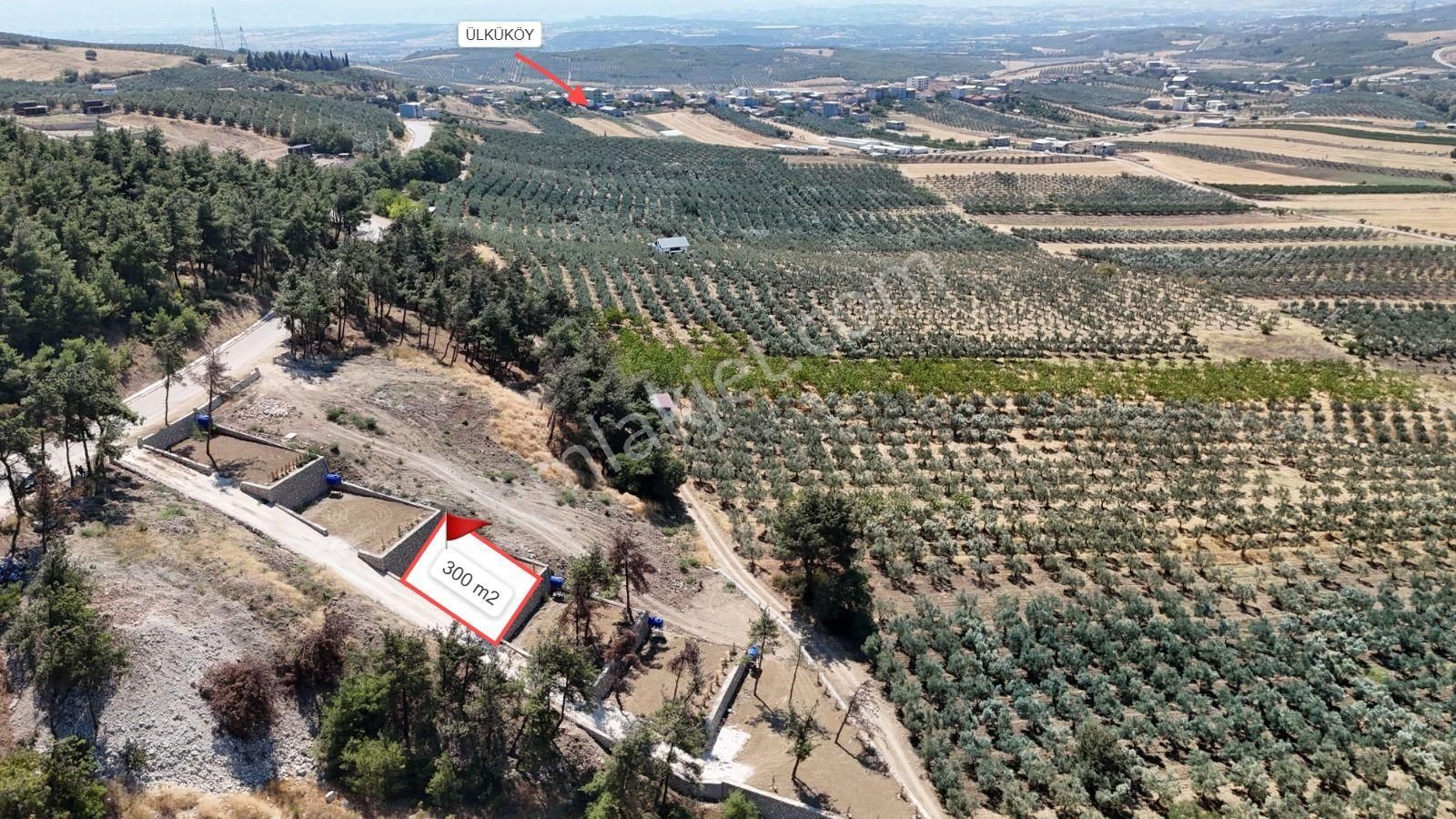 Mudanya Ülküköy Satılık Hobi Bahçesi İçin Hazır Hisse - Görsel 19