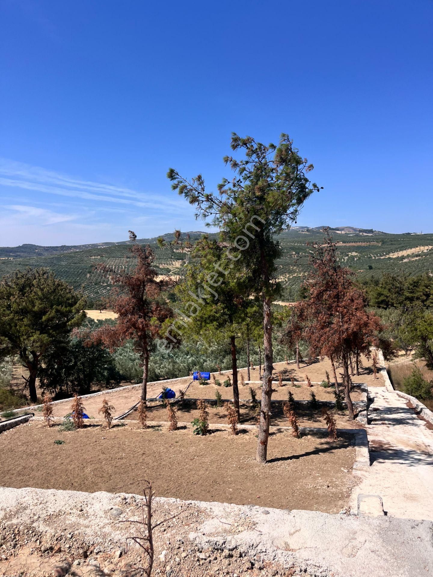 Mudanya Ülküköy Satılık Hobi Bahçesi İçin Hazır Hisse - Görsel 15