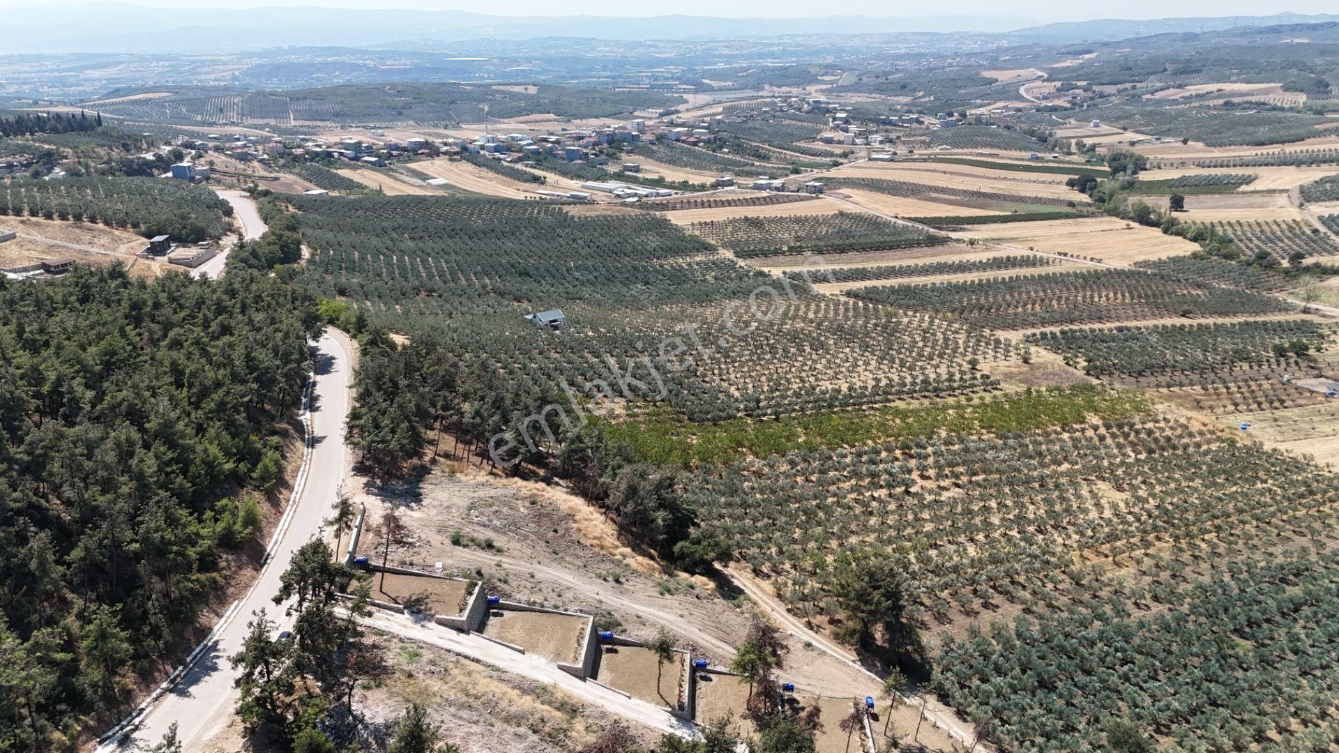 Mudanya Ülküköy Satılık Hobi Bahçesi İçin Hazır Hisse - Görsel 9