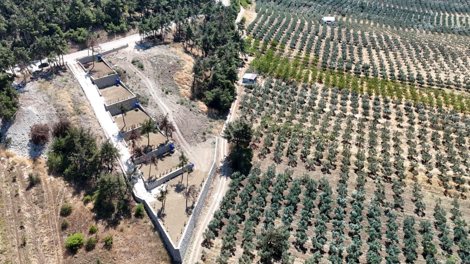 Mudanya Ülküköy Satılık Hobi Bahçesi İçin Hazır Hisse - Görsel 7
