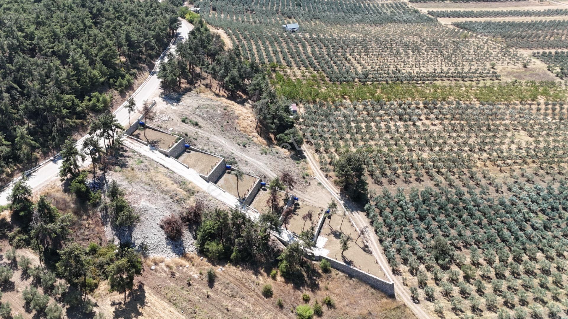 Mudanya Ülküköy Satılık Hobi Bahçesi İçin Hazır Hisse - Görsel 10